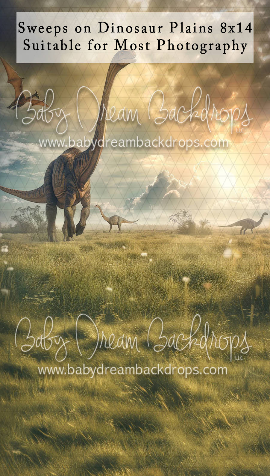 Dinosaur plains photography backdrop featuring brachiosaurus in golden grasslands with dramatic cloudy sky, 8x14 size.