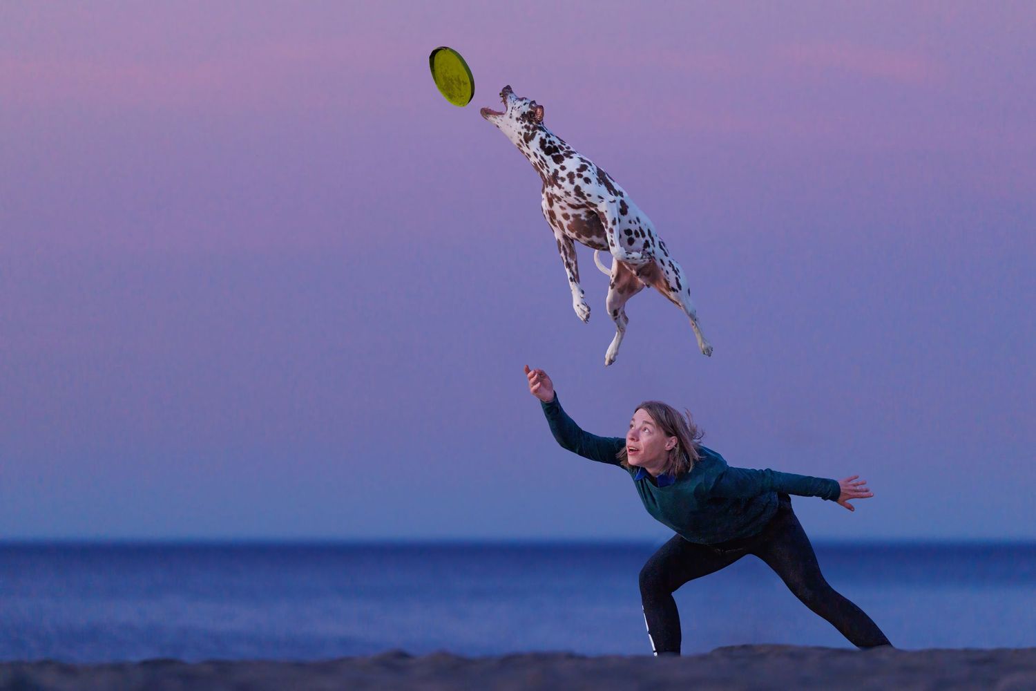 Woman throwing a frisbee on a beach while a Dalmatian leaps high to catch it at dusk.