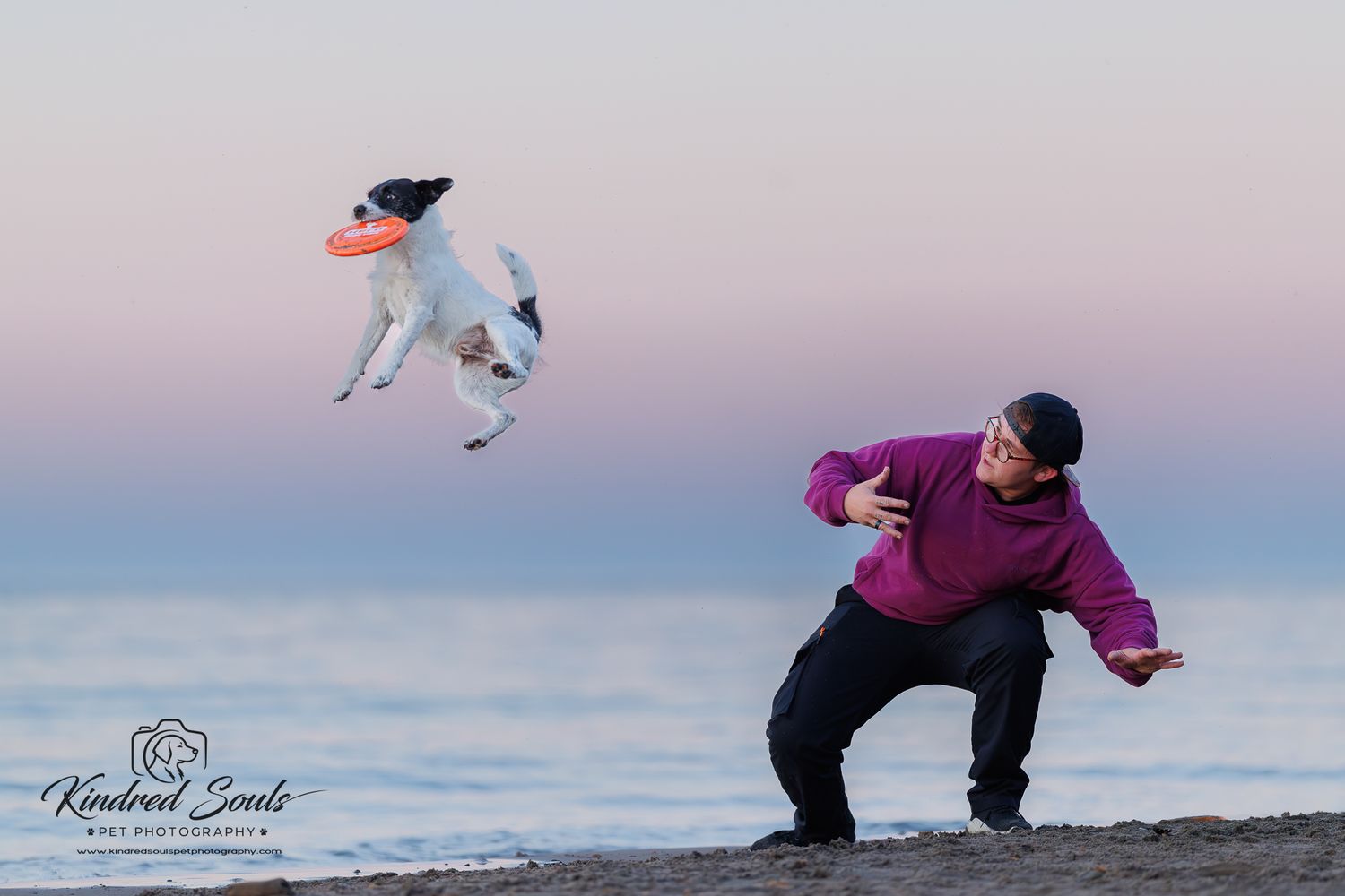 A woman in a pink hoodie throws a frisbee to a leaping dog on a beach.