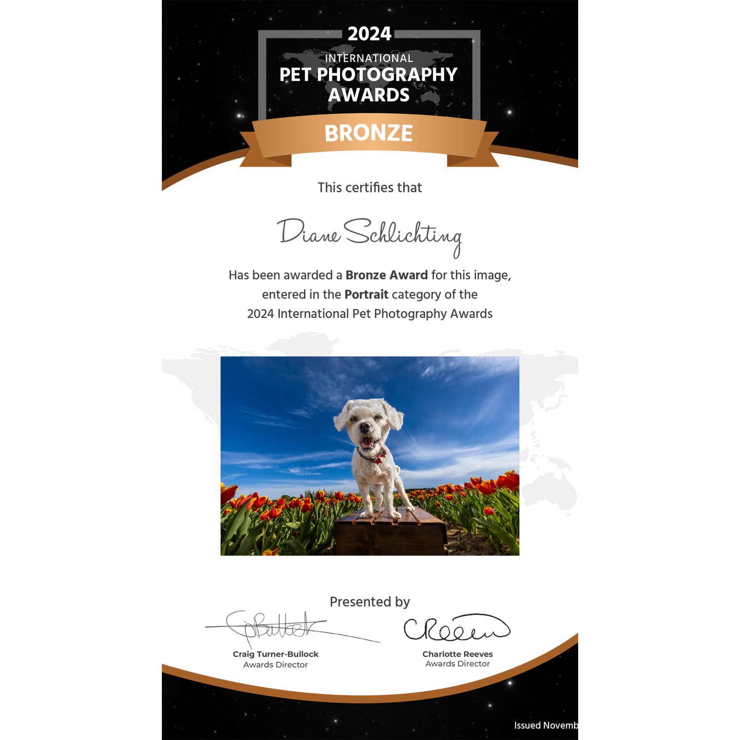 Bronze award certificate from 2024 International Pet Photography Awards for Diane Schlichting featuring a white dog in tulip field.