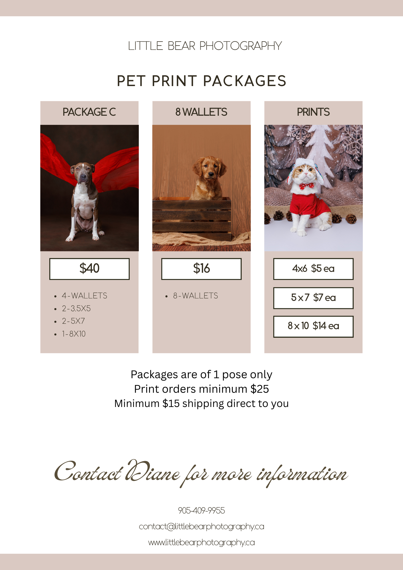 Little Bear Photography pet print packages flyer showing three dogs in holiday outfits with pricing for wallets and prints.