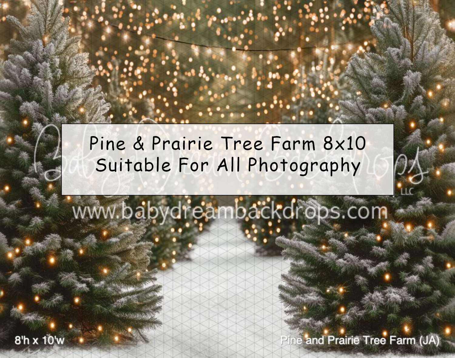 Snowy pine tree farm photography backdrop with warm fairy lights lining a winter path between frosted evergreen trees.