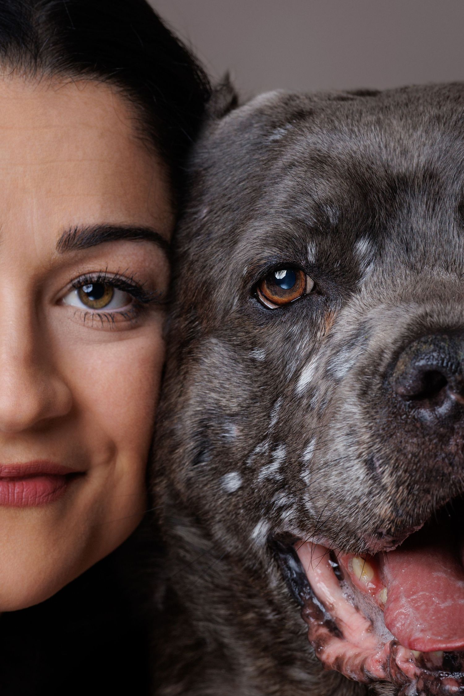 A woman and a gray pit bull dog pose cheek-to-cheek in a close-up portrait against a neutral background.