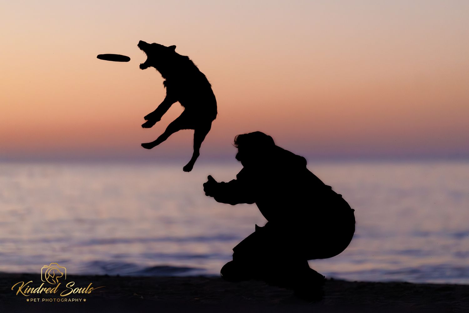 Silhouette of a dog leaping for a frisbee with owner crouching on beach at sunset.