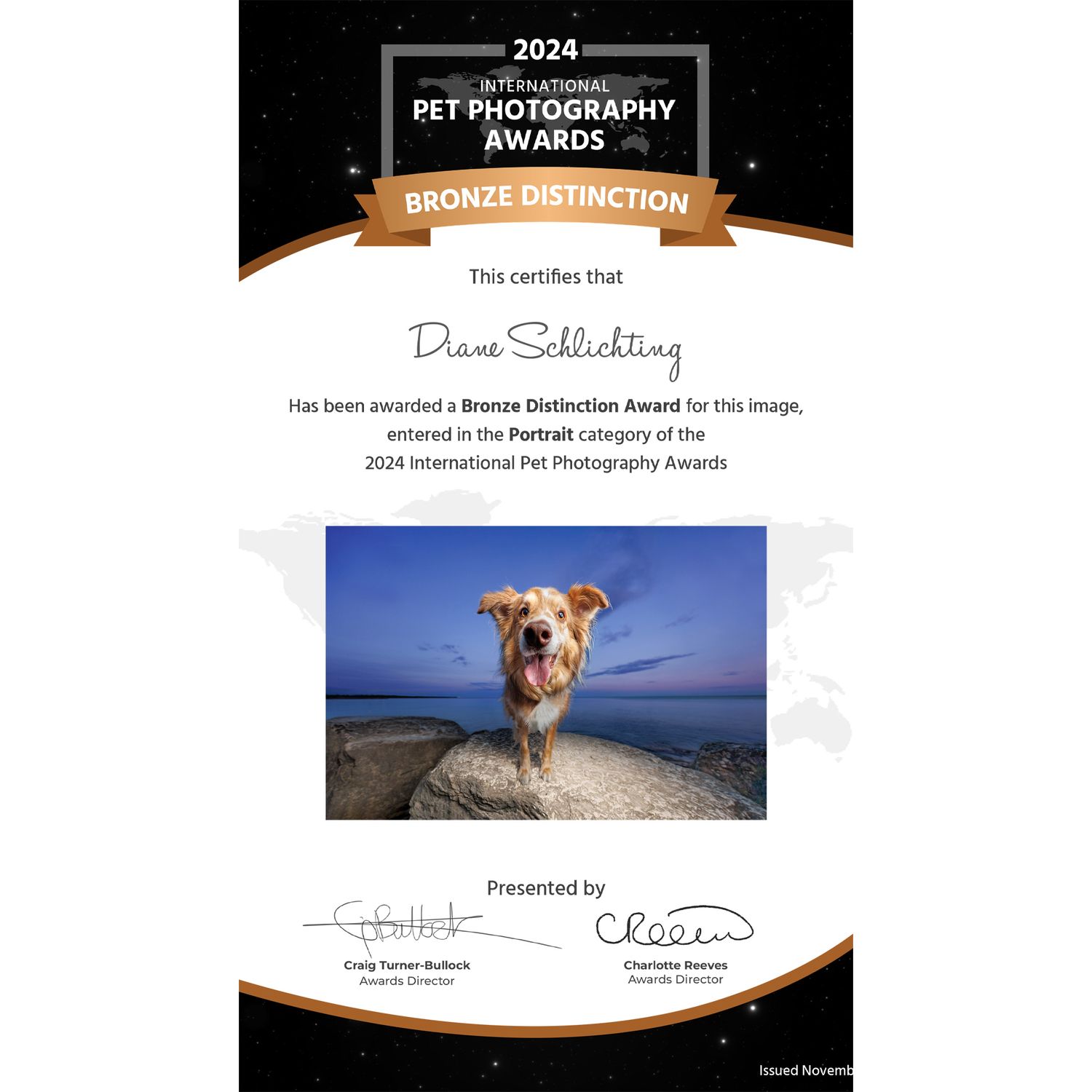 2024 International Pet Photography Awards Bronze Distinction certificate for Diane Schlichting in the Portrait category.