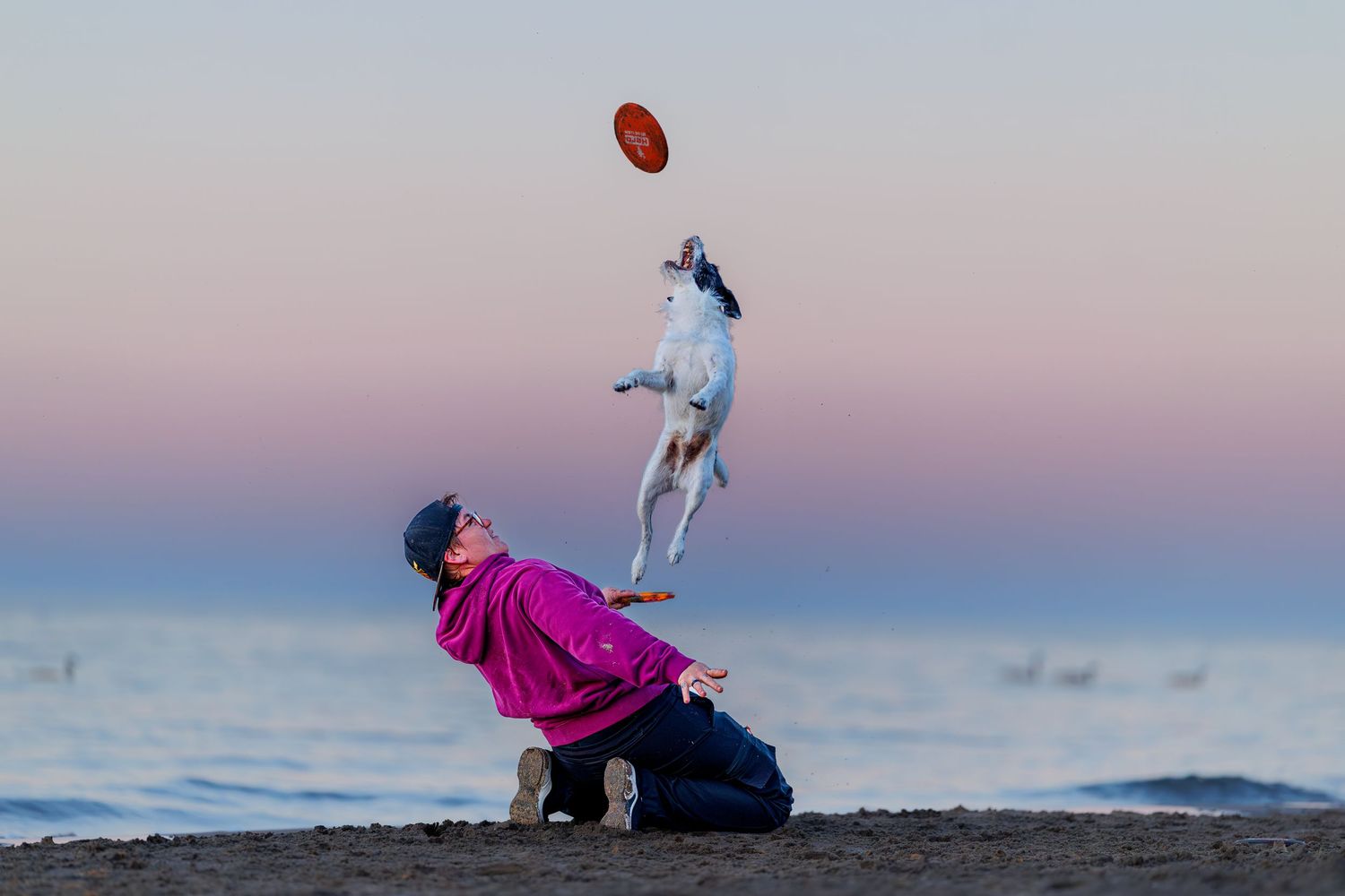 Person on beach tossing red frisbee while dog leaps high into the air to catch it at sunset.