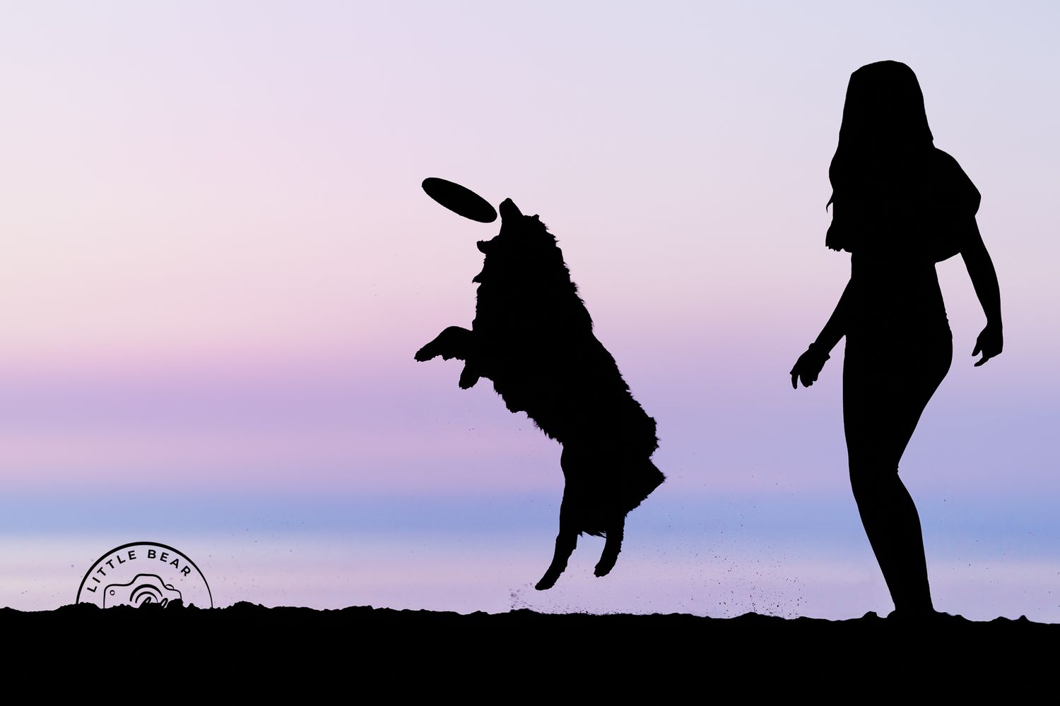 Silhouette of a woman and her dog catching a frisbee at sunset against a pink and purple sky.