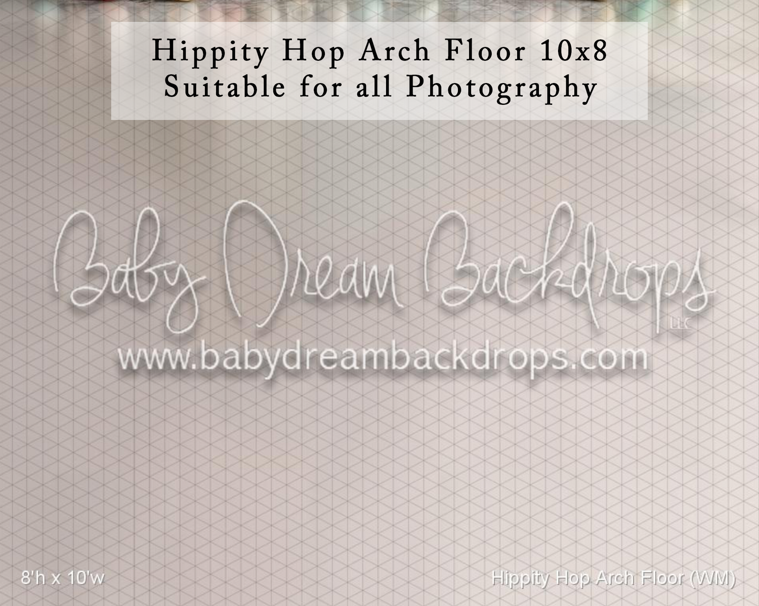 Baby Dream Backdrops Hippity Hop Arch Floor 10x8 photography backdrop with subtle geometric pattern.