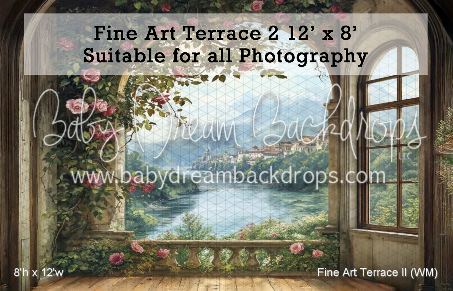 Fine Art Terrace photography backdrop, 12x8ft, featuring arched windows, roses, and scenic landscape view.