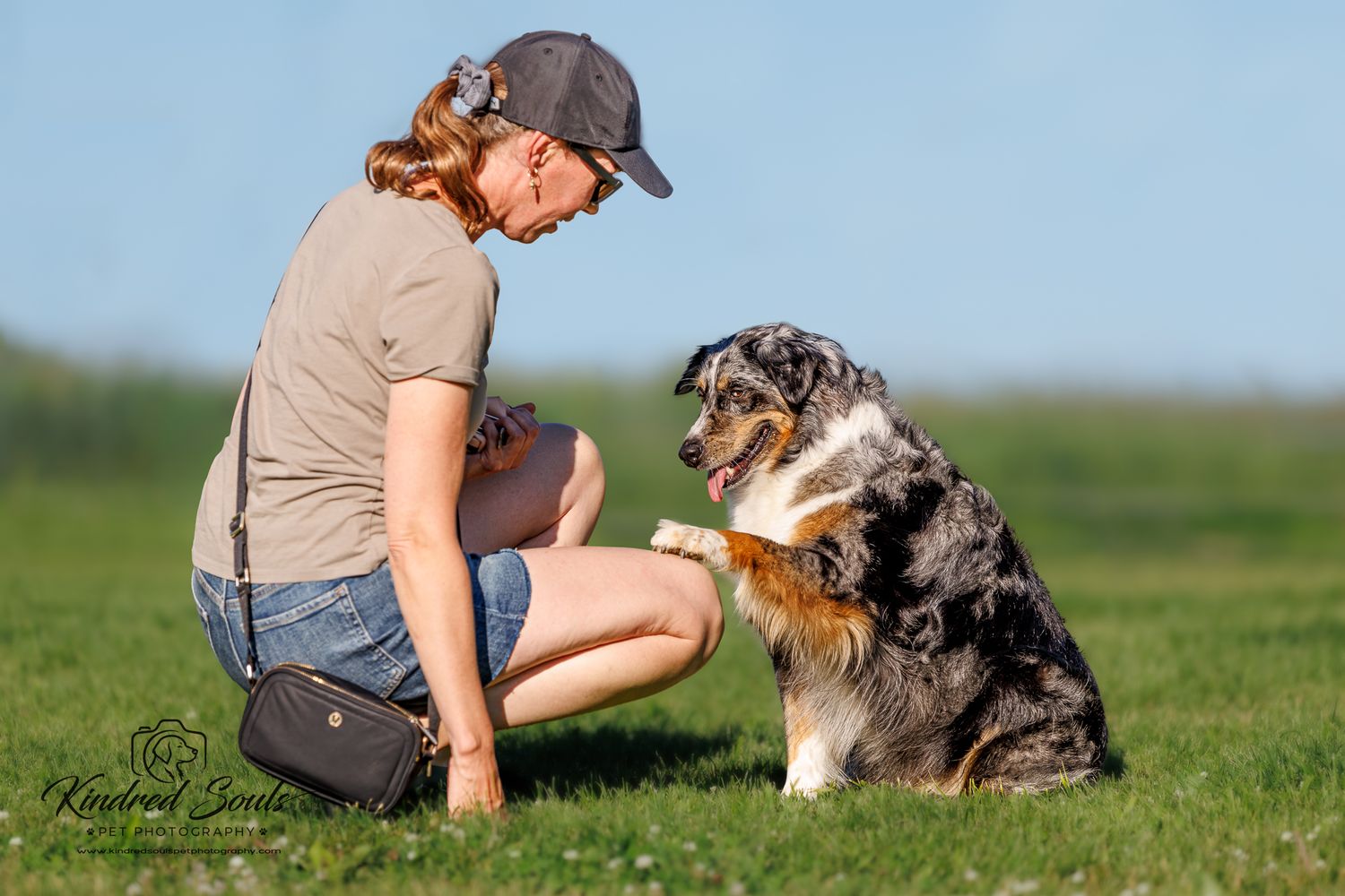 Woman in cap crouching to train an Australian Shepherd dog on green grass under a blue sky.