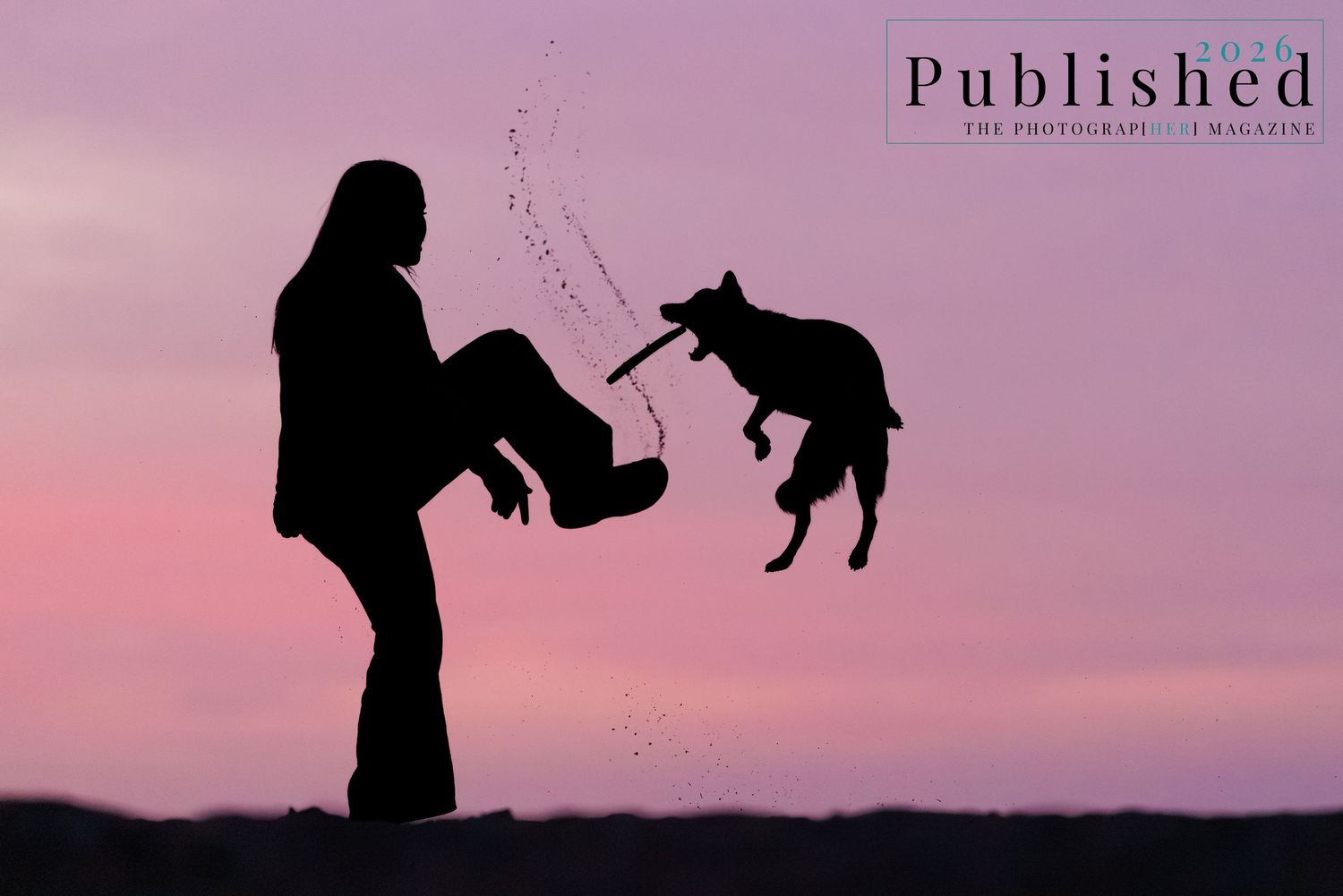 Silhouette of a person and jumping dog playing at sunset with a pink and purple sky backdrop.