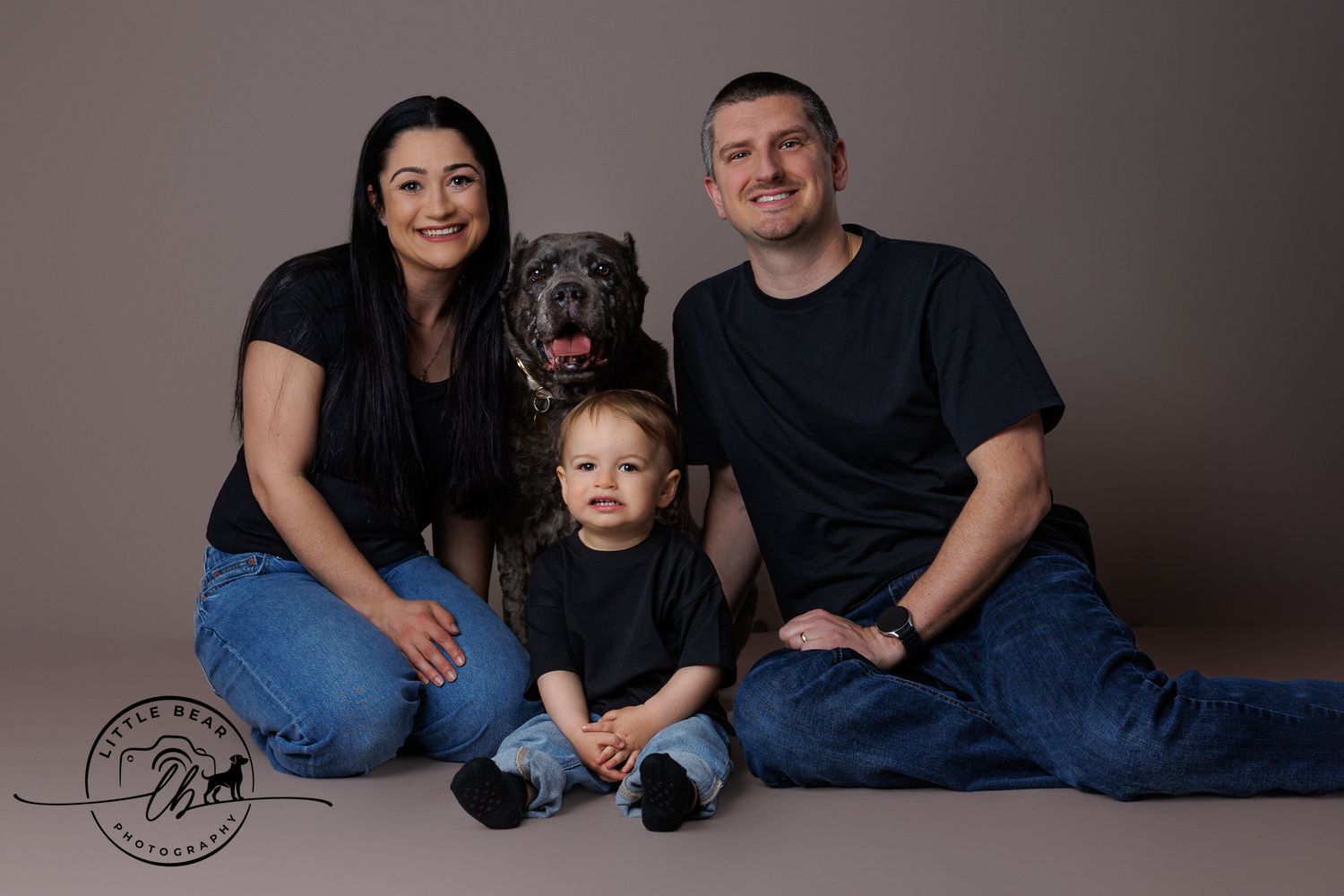 Family portrait with parents, toddler, and large gray dog posing together against a neutral studio background.