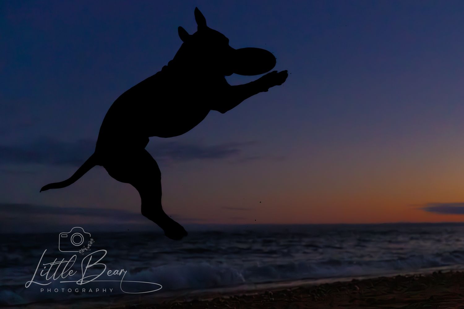 Dramatic silhouette of a dog jumping to catch a frisbee against a vibrant beach sunset sky.