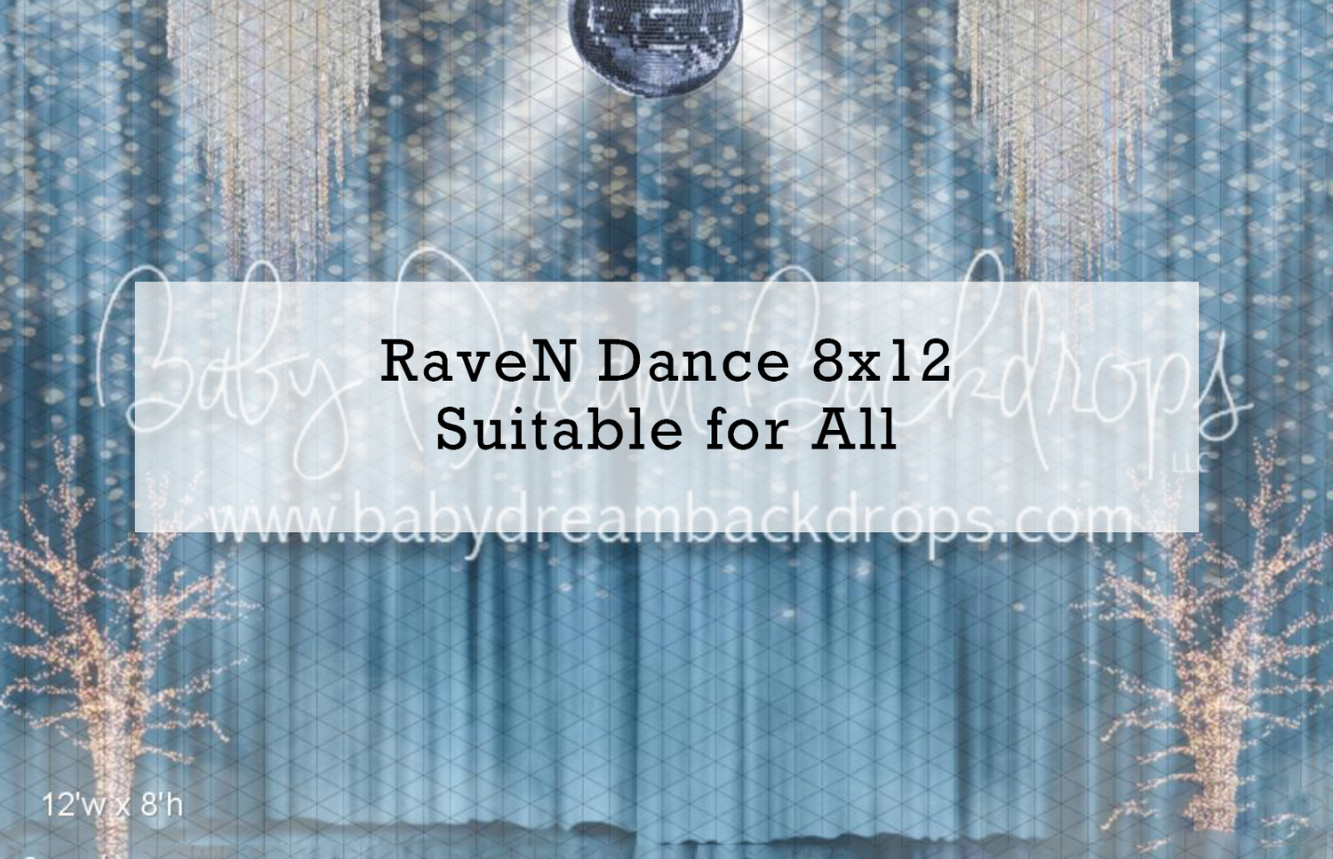 RaveN Dance 8x12 photography backdrop featuring a blue curtain background with sparkling lights and snow-covered trees.