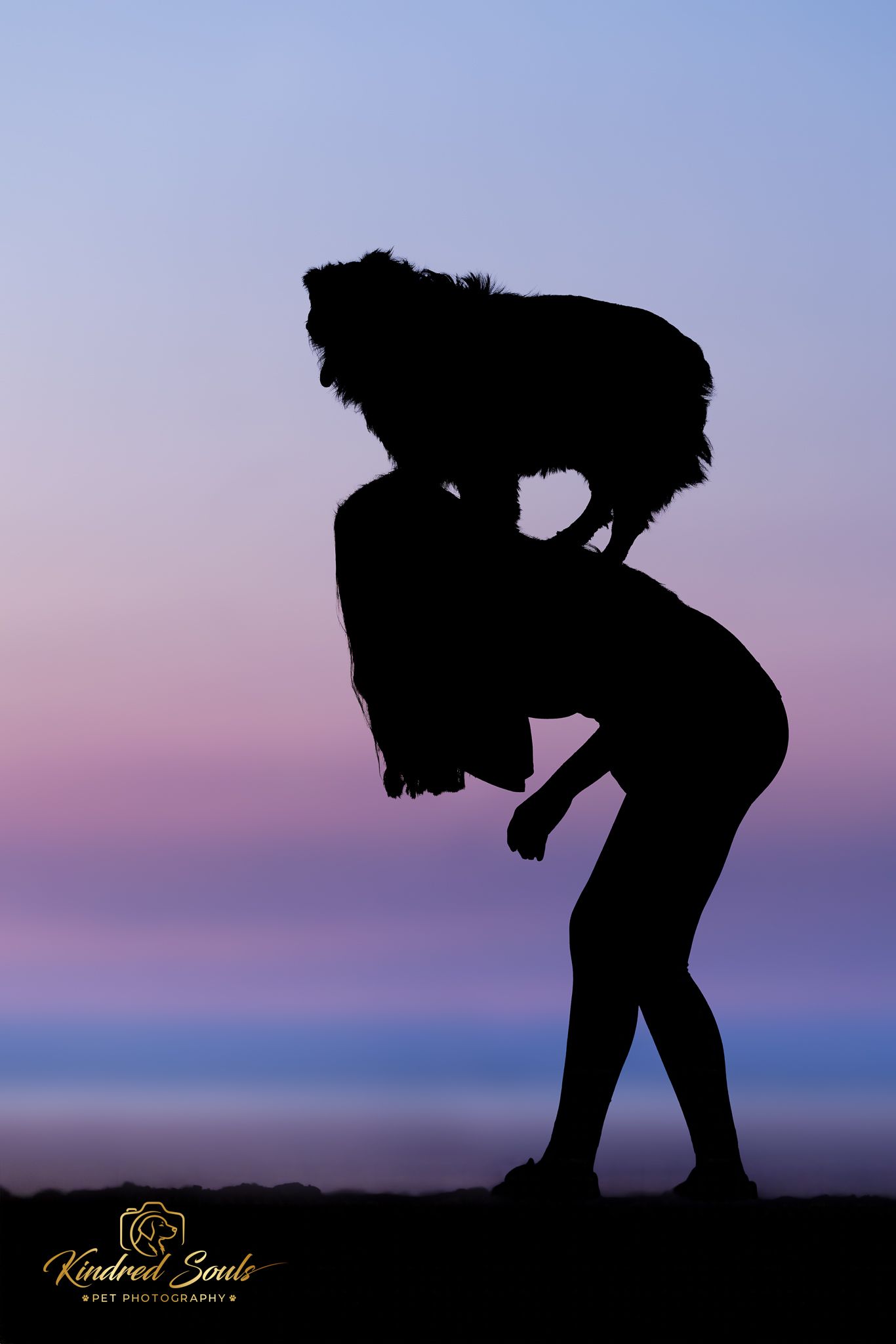 Silhouette of a person holding a fluffy dog against a stunning pink and purple sunset sky.