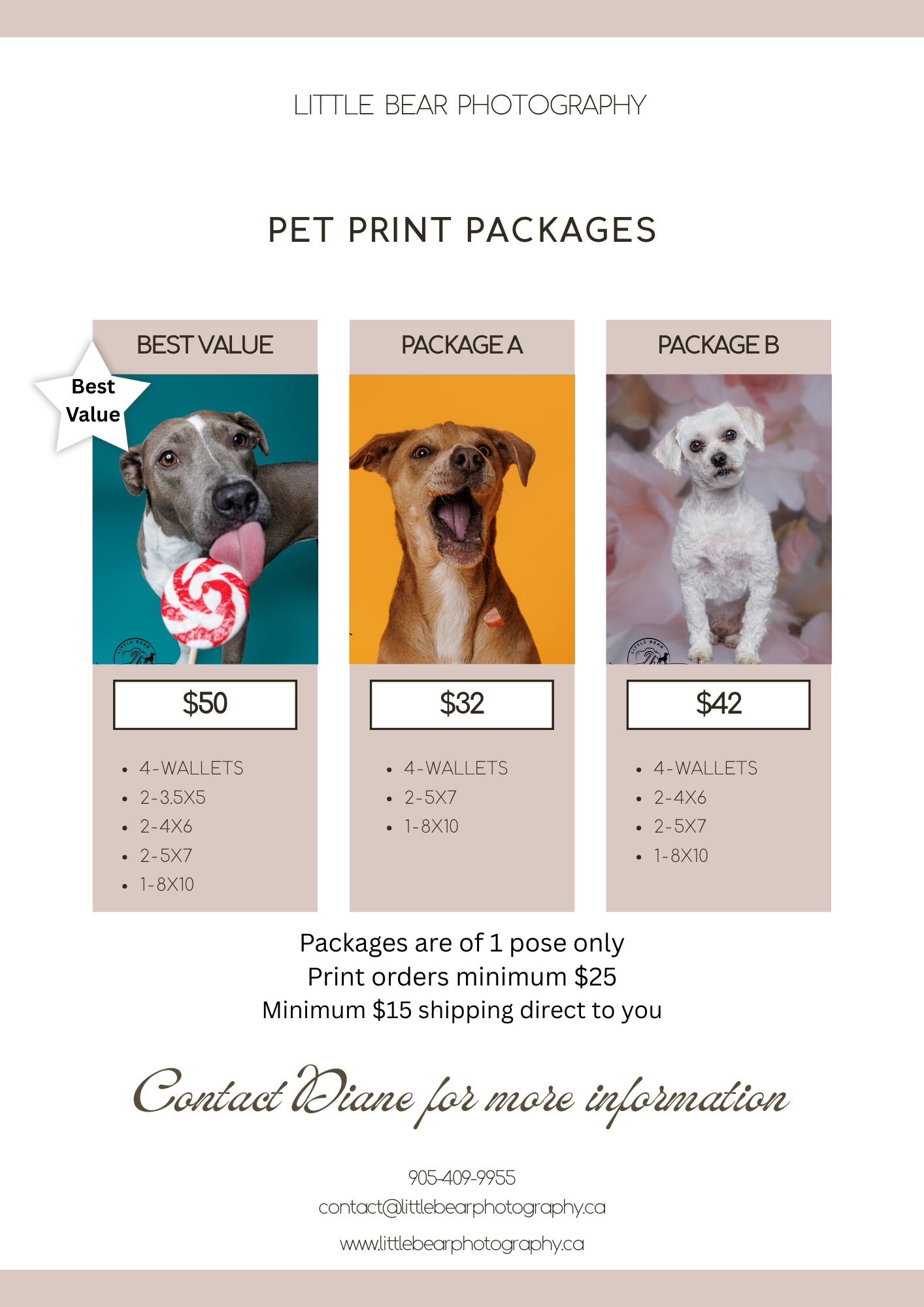 Little Bear Photography pet print packages flyer showing three dogs with pricing options starting at $32 for professional pet portraits.