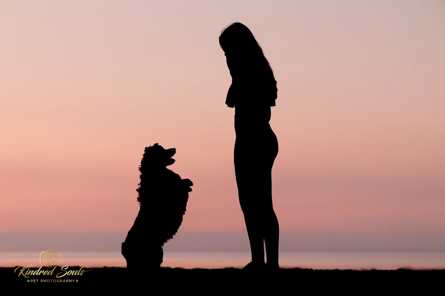 Silhouette of a woman and her dog sitting against a pink sunset sky near the ocean at dusk.