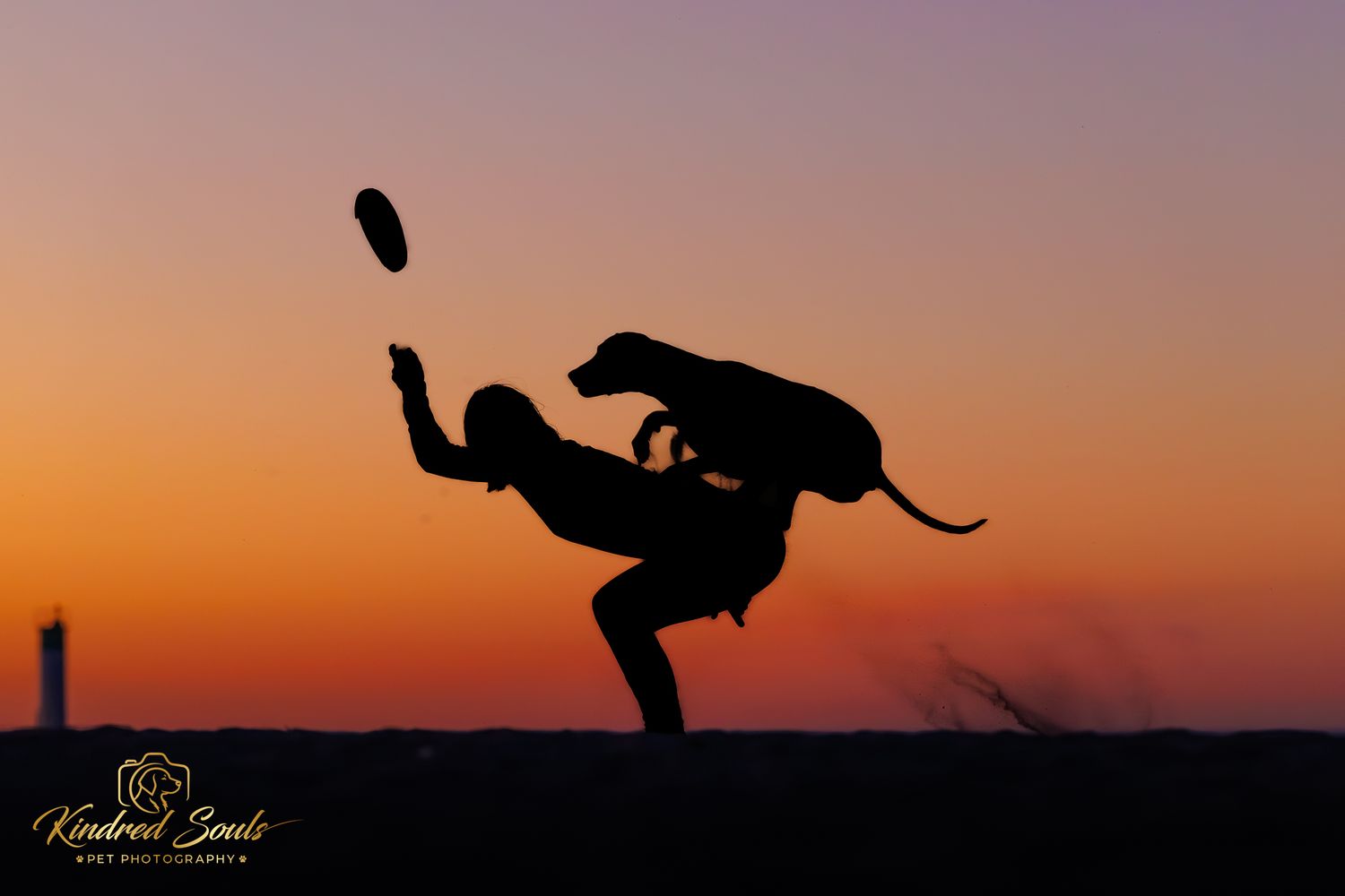 Silhouette of person and dog performing frisbee trick against vibrant orange sunset sky.