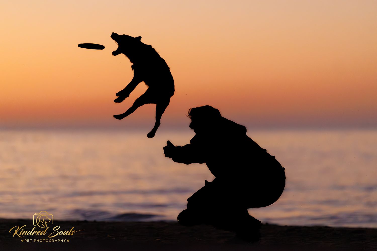 Silhouette of a dog leaping to catch a frisbee while owner crouches on beach at sunset.
