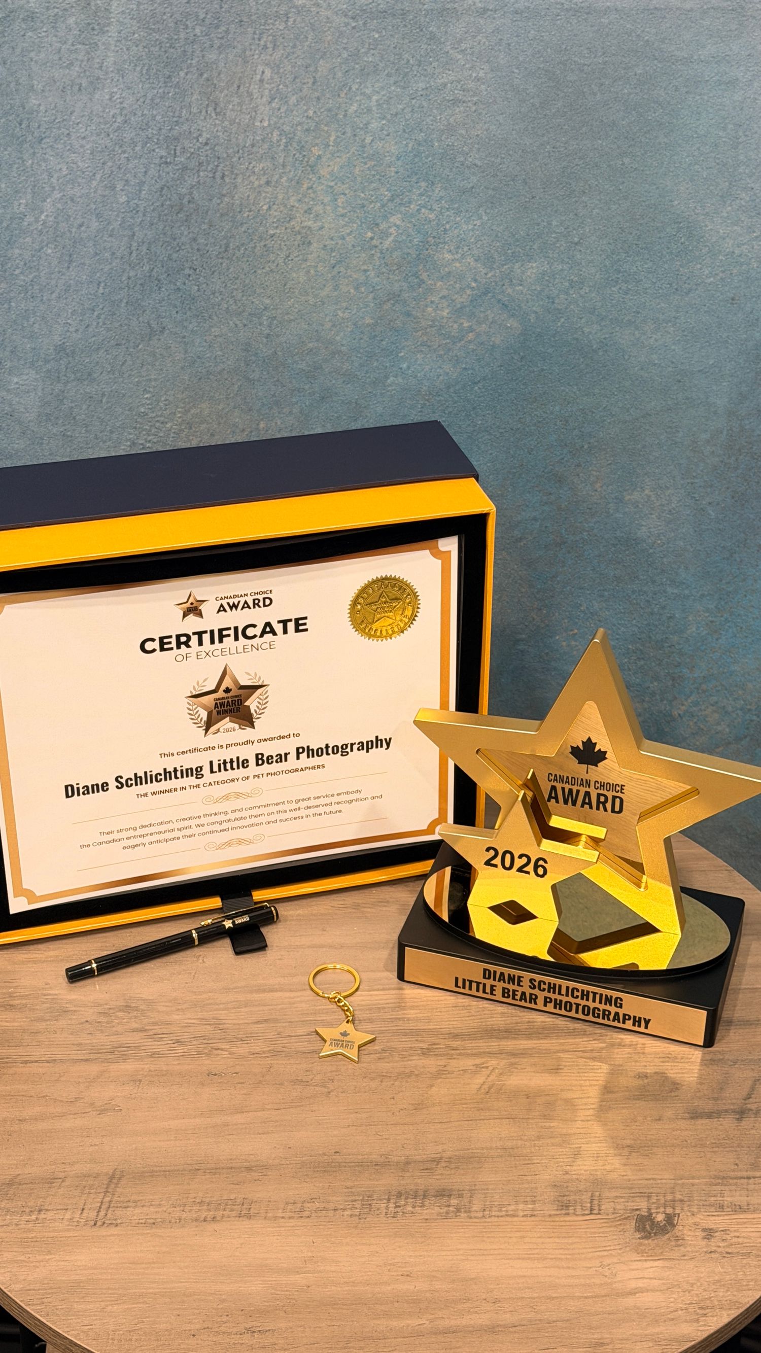 Gold star trophy and certificate of excellence for Diane Schlichting Little Bear Photography displayed on wooden table.