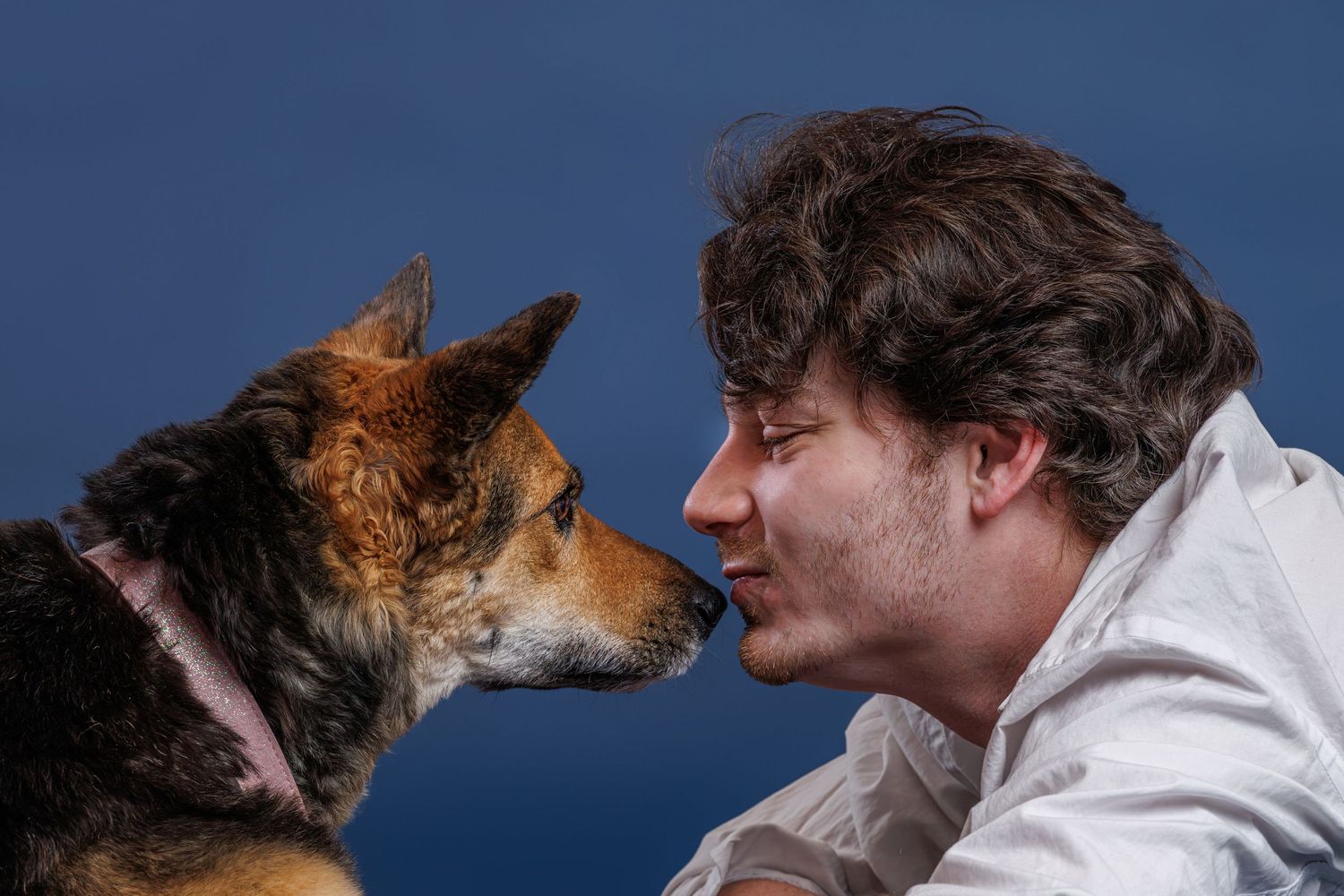 A young man and a German Shepherd dog face each other nose-to-nose against a blue background.