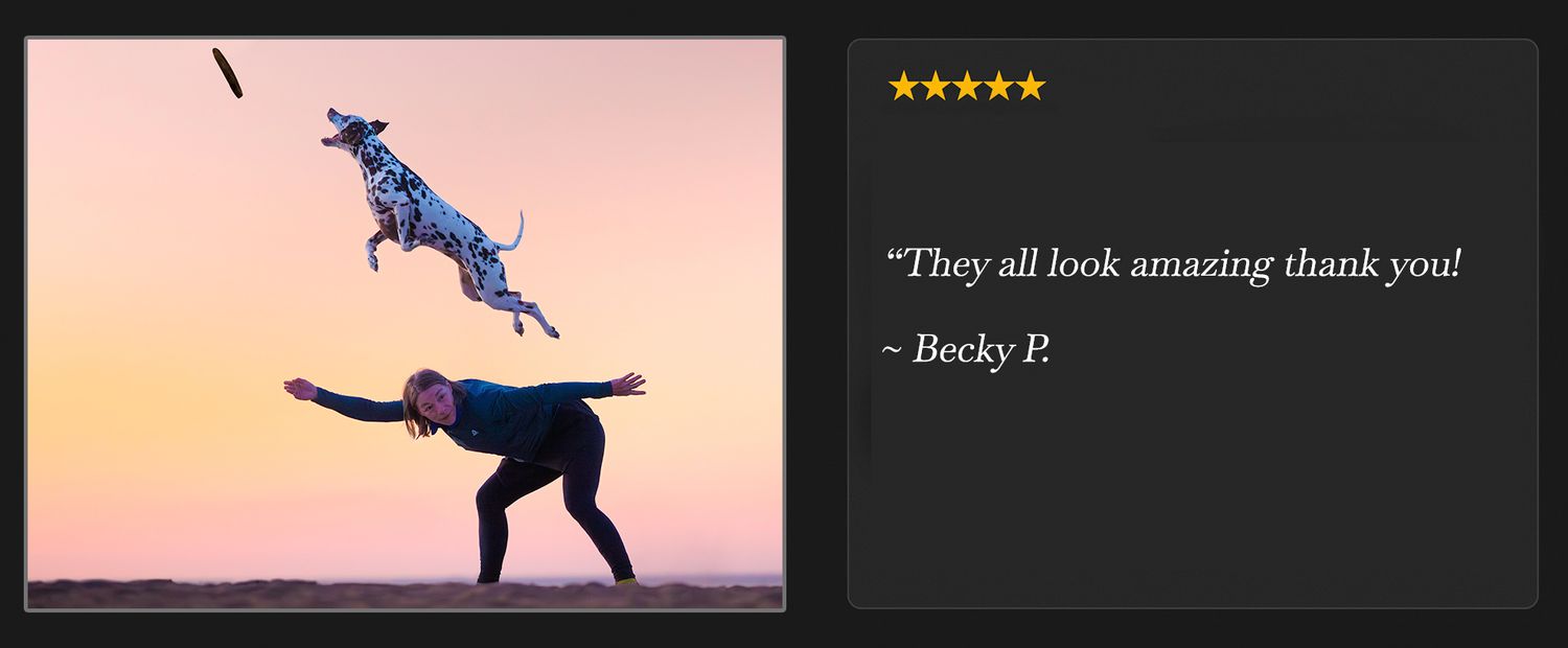 A woman throws a toy as her Dalmatian leaps gracefully into the air at sunset, with a 5-star customer review.