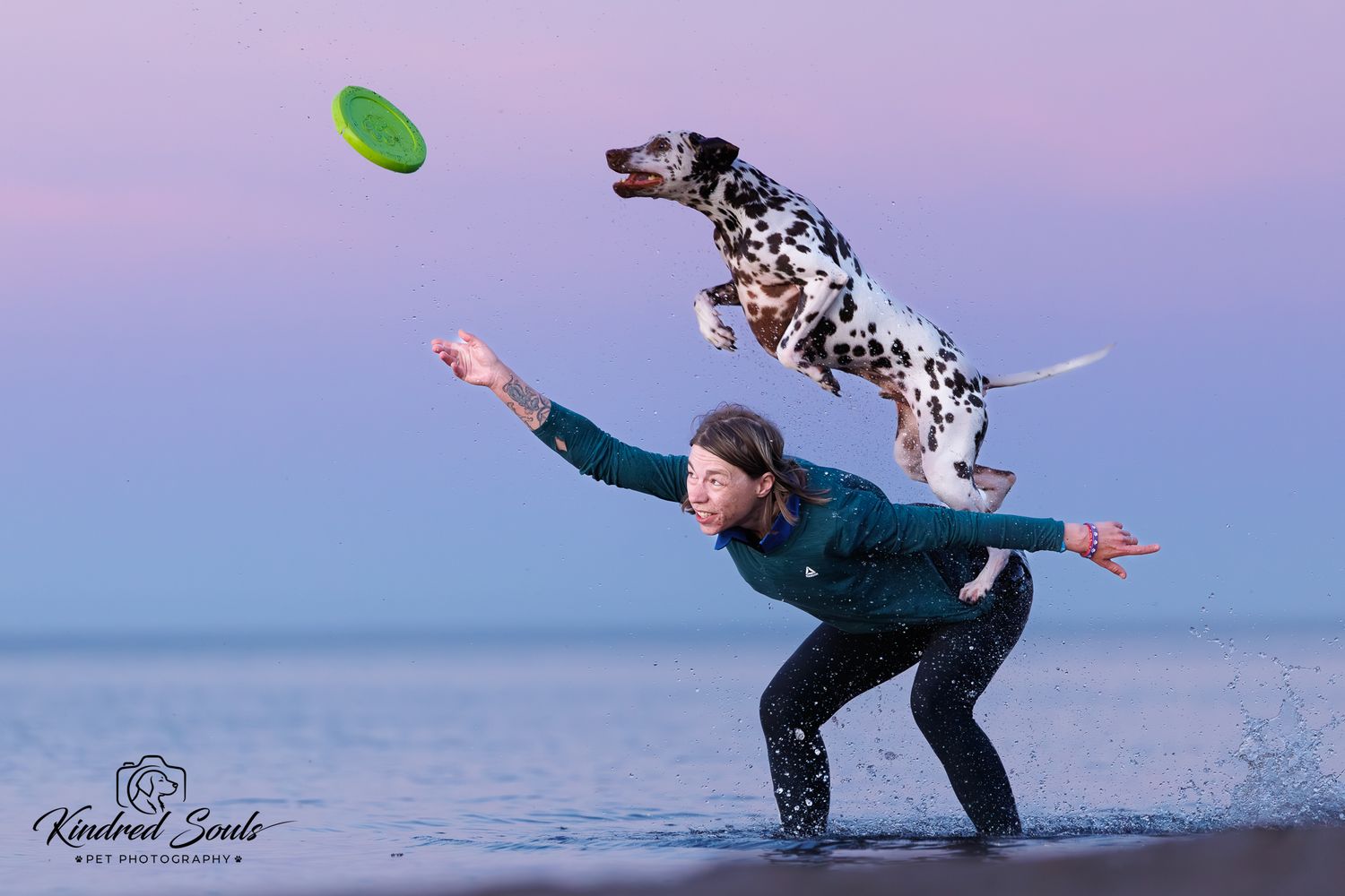 A Dalmatian dog leaps high above a person throwing a green frisbee on a beach at dusk.
