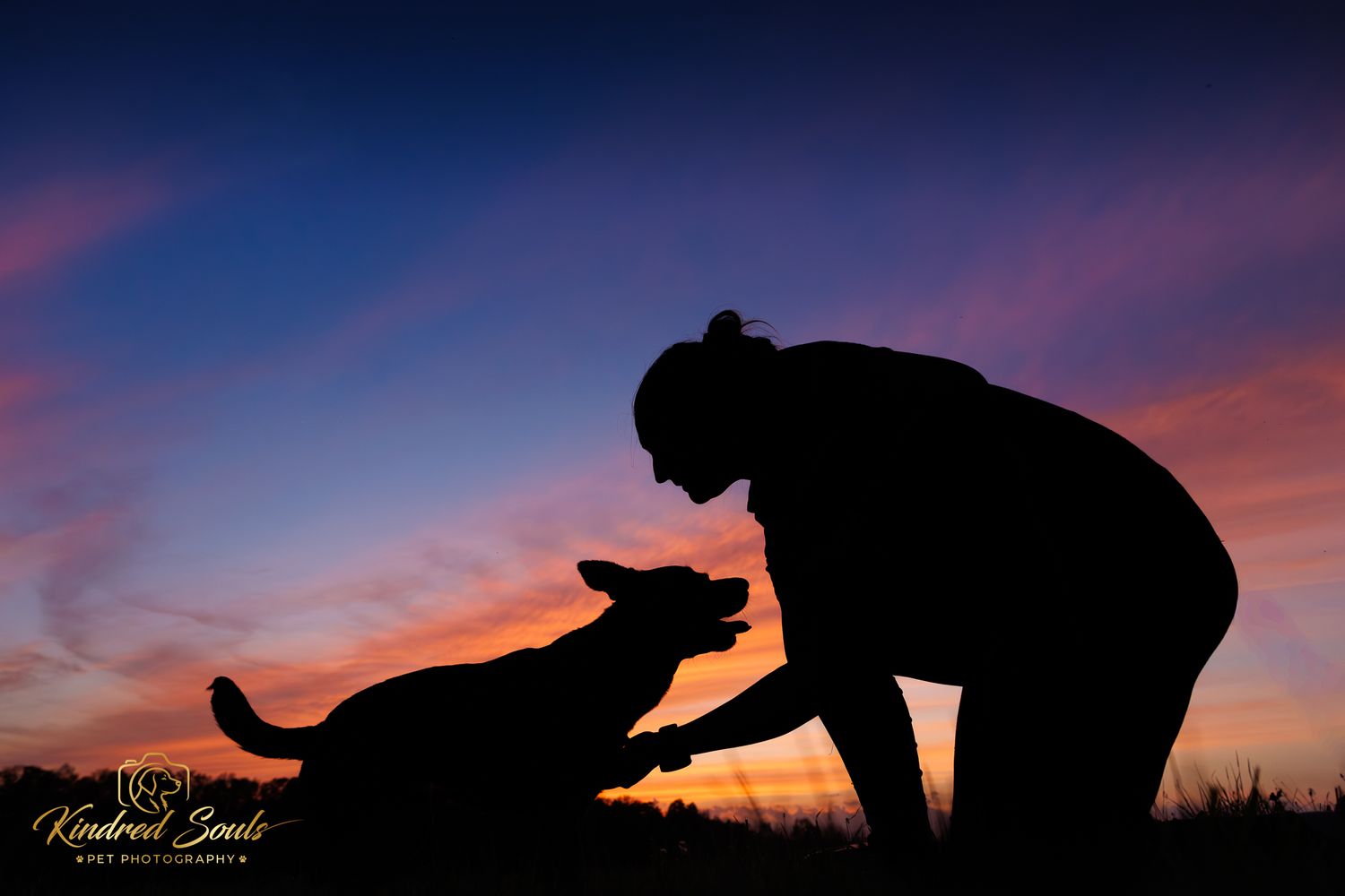 Silhouette of woman and German Shepherd dog bonding at sunset with vibrant pink and blue sky backdrop.