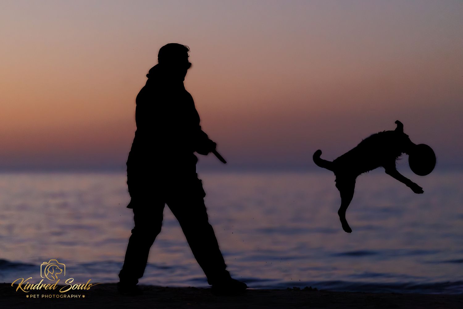 Silhouette of person and leaping dog playing on beach at sunset with colorful sky and ocean backdrop.