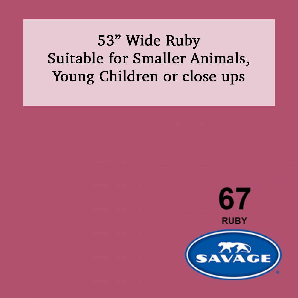 Savage 53-inch wide ruby red paper backdrop #67, suitable for smaller animals, young children, or close-up photography.