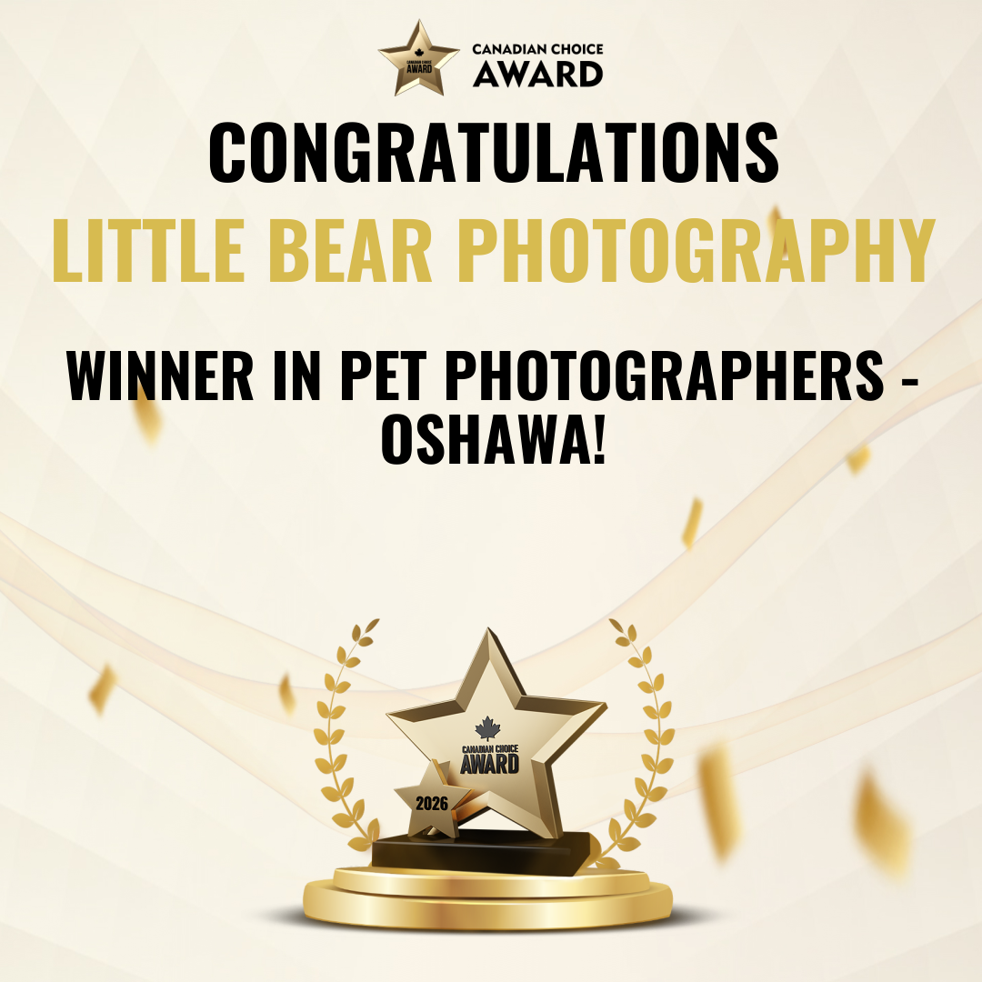 Canadian Choice Award congratulations banner for Little Bear Photography, winner in Pet Photographers Oshawa.