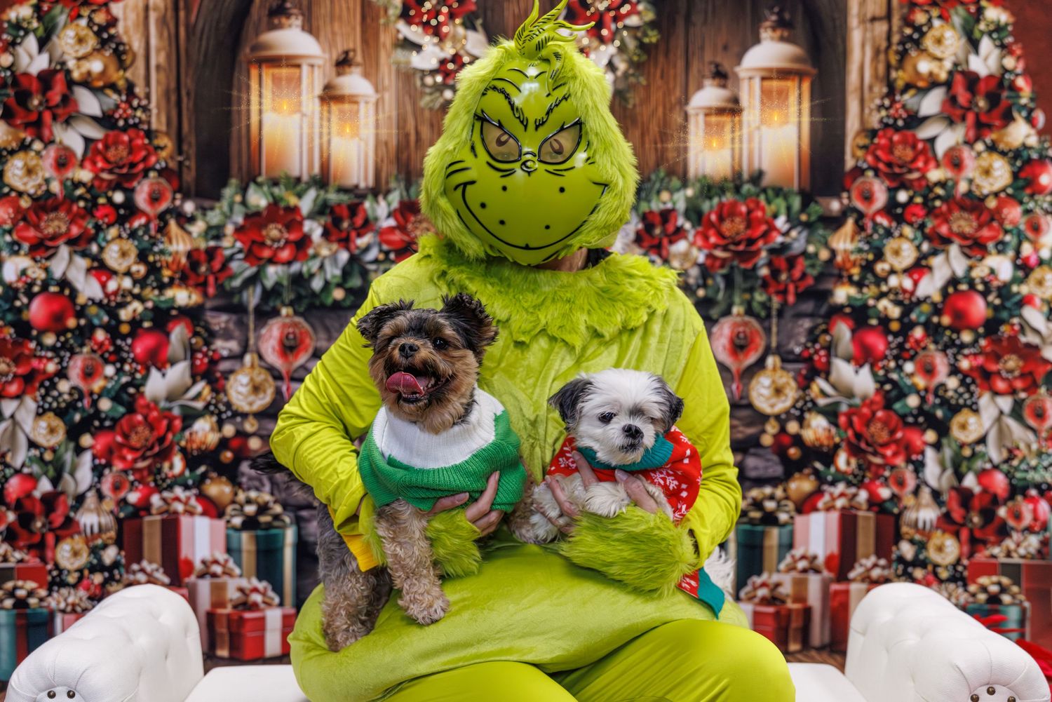 Person in Grinch costume holding two small dogs in Christmas outfits against festive holiday backdrop.