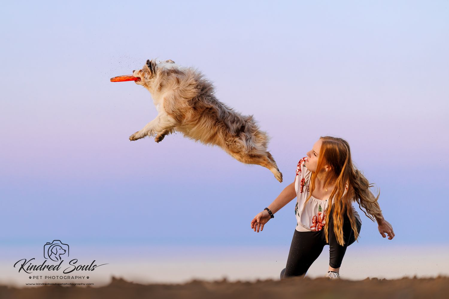A dog leaps high to catch a frisbee while a girl tosses it at sunset in an outdoor field.