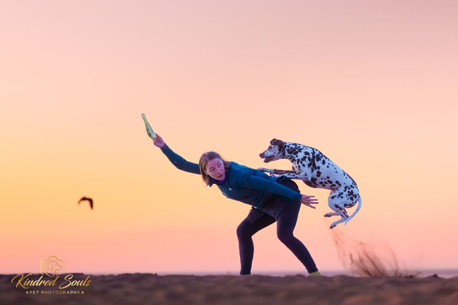 Woman throwing a frisbee as a Dalmatian dog jumps beside her on a beach at sunset.