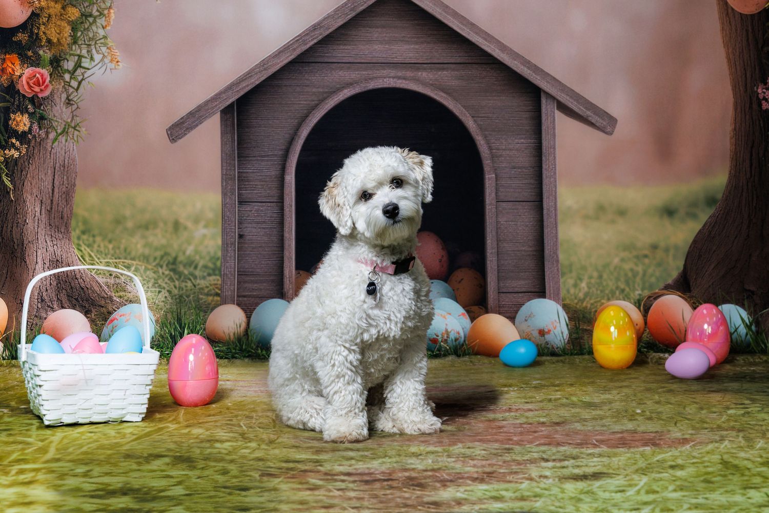 White fluffy dog sitting in front of a doghouse surrounded by colorful Easter eggs and a wicker basket on green grass.