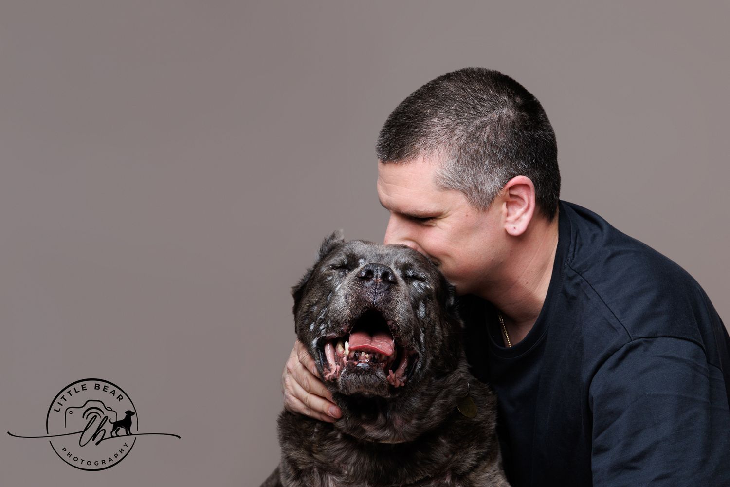 Man in dark shirt affectionately kissing large dark Cane Corso dog against neutral gray studio background.