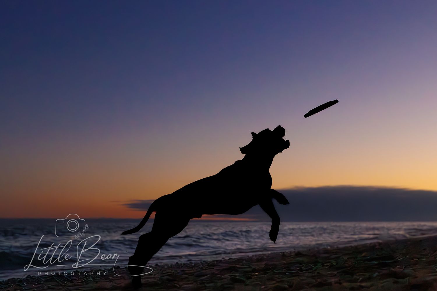 Silhouette of a dog leaping to catch a frisbee on a beach at sunset with colorful sky.