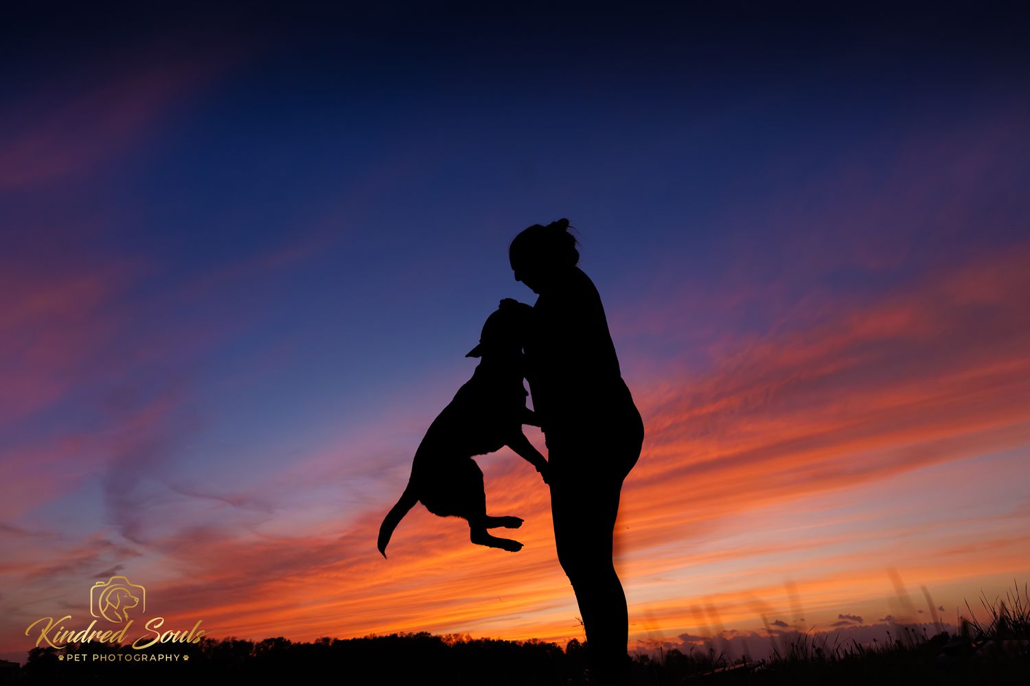 Silhouette of a person lifting a dog against a vibrant sunset sky with orange, red, and blue hues.