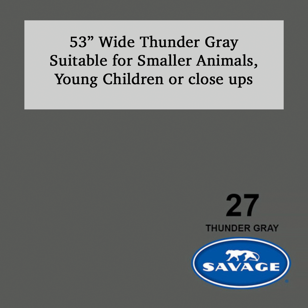 Savage 53-inch wide thunder gray backdrop #27, suitable for smaller animals, young children, or close-up photography.