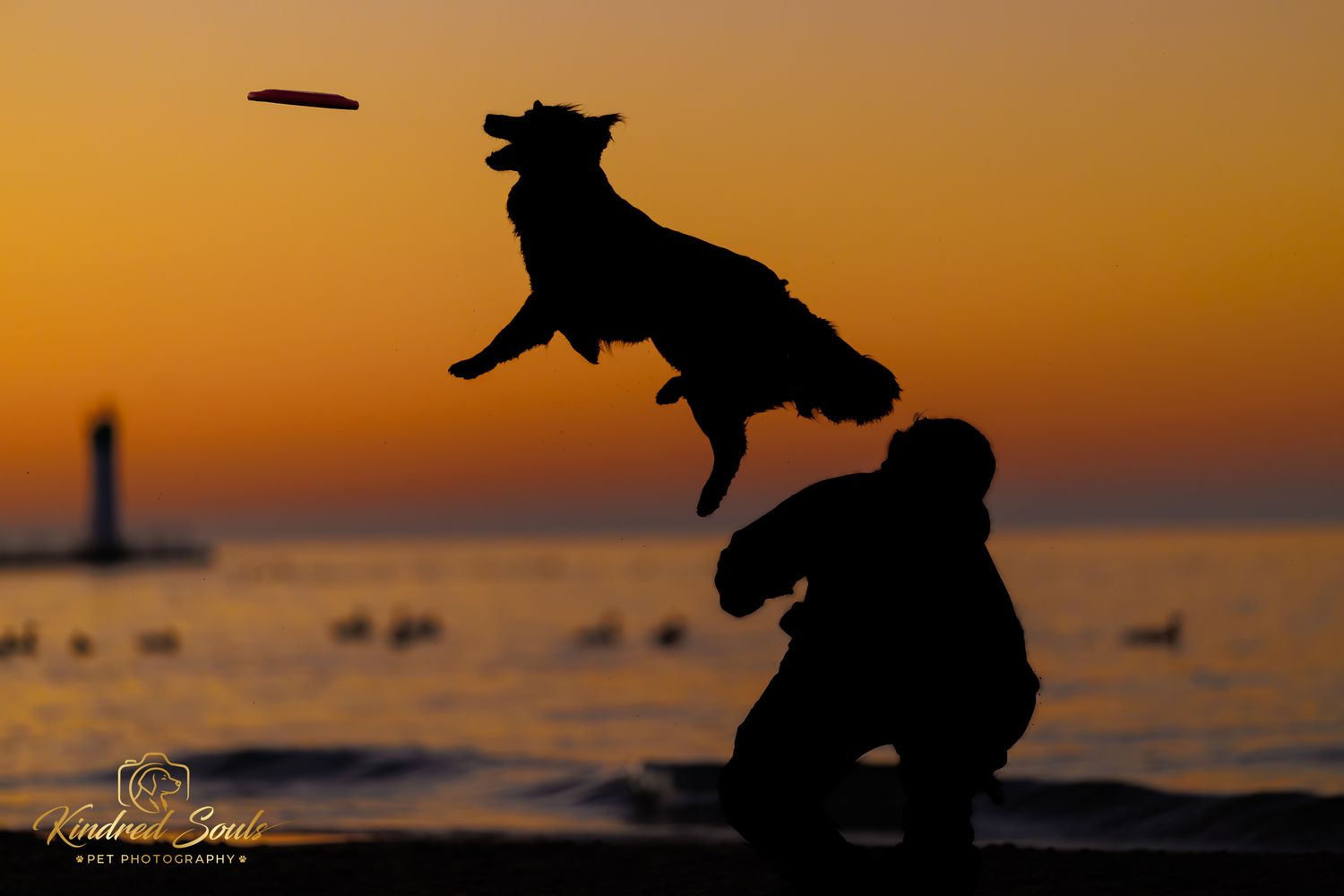 Silhouette of a dog leaping to catch a frisbee with its owner at sunset on a beach.