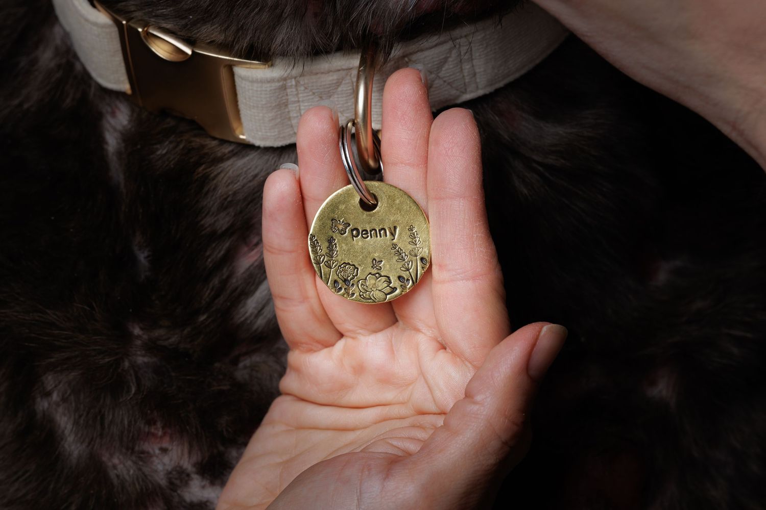 Hand holding a gold pet ID tag engraved with Danny on a dark-furred dog wearing a gray collar.