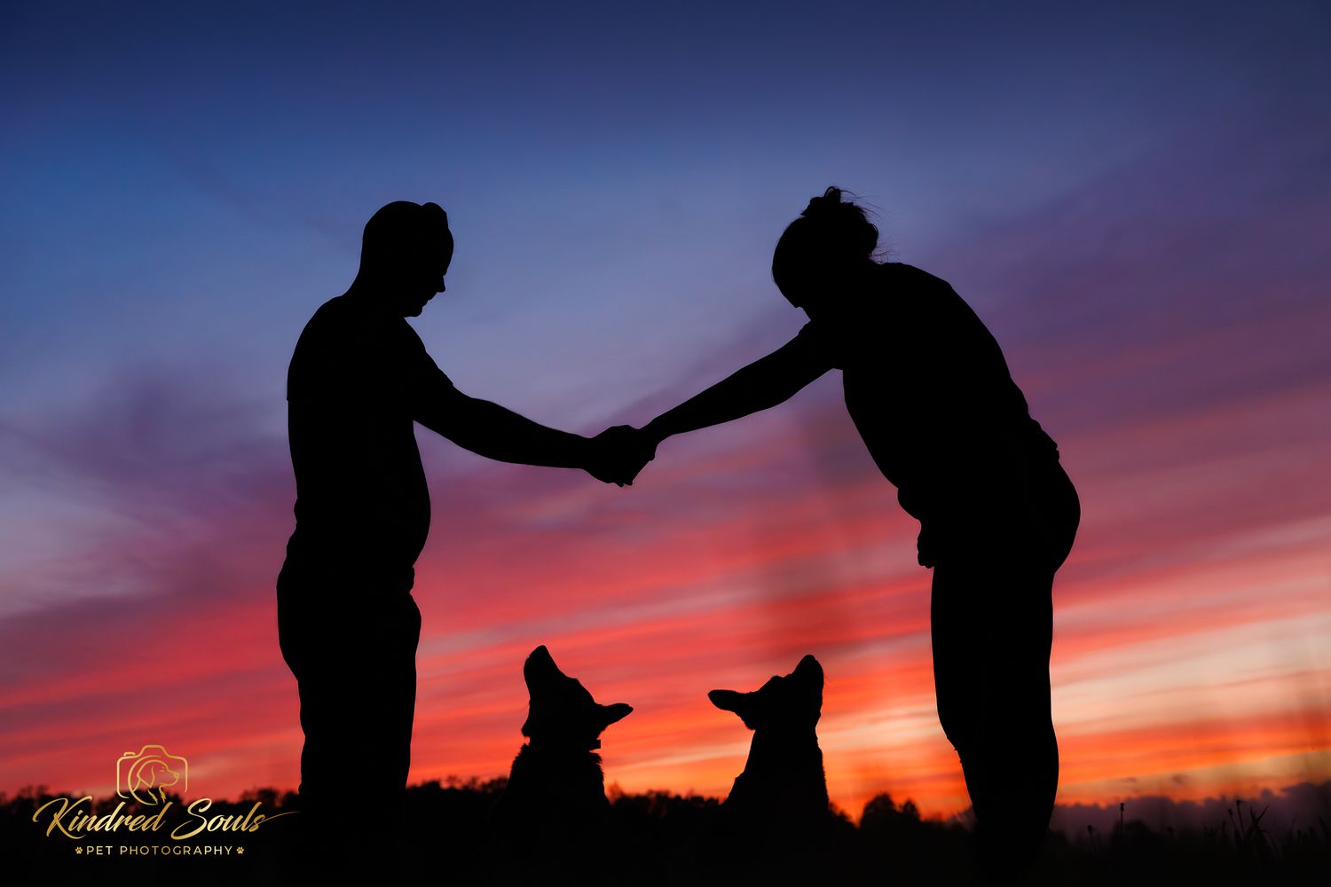 Silhouette of couple shaking hands at colorful sunset with two dogs sitting beside them.