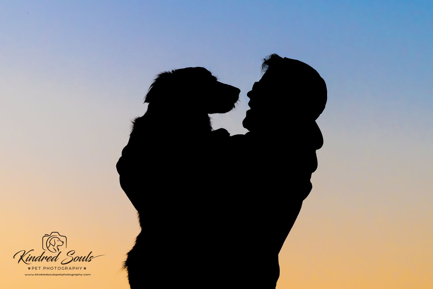 Silhouette of a person holding a dog against a golden blue sunset sky, captured by Kindred Souls Pet Photography.