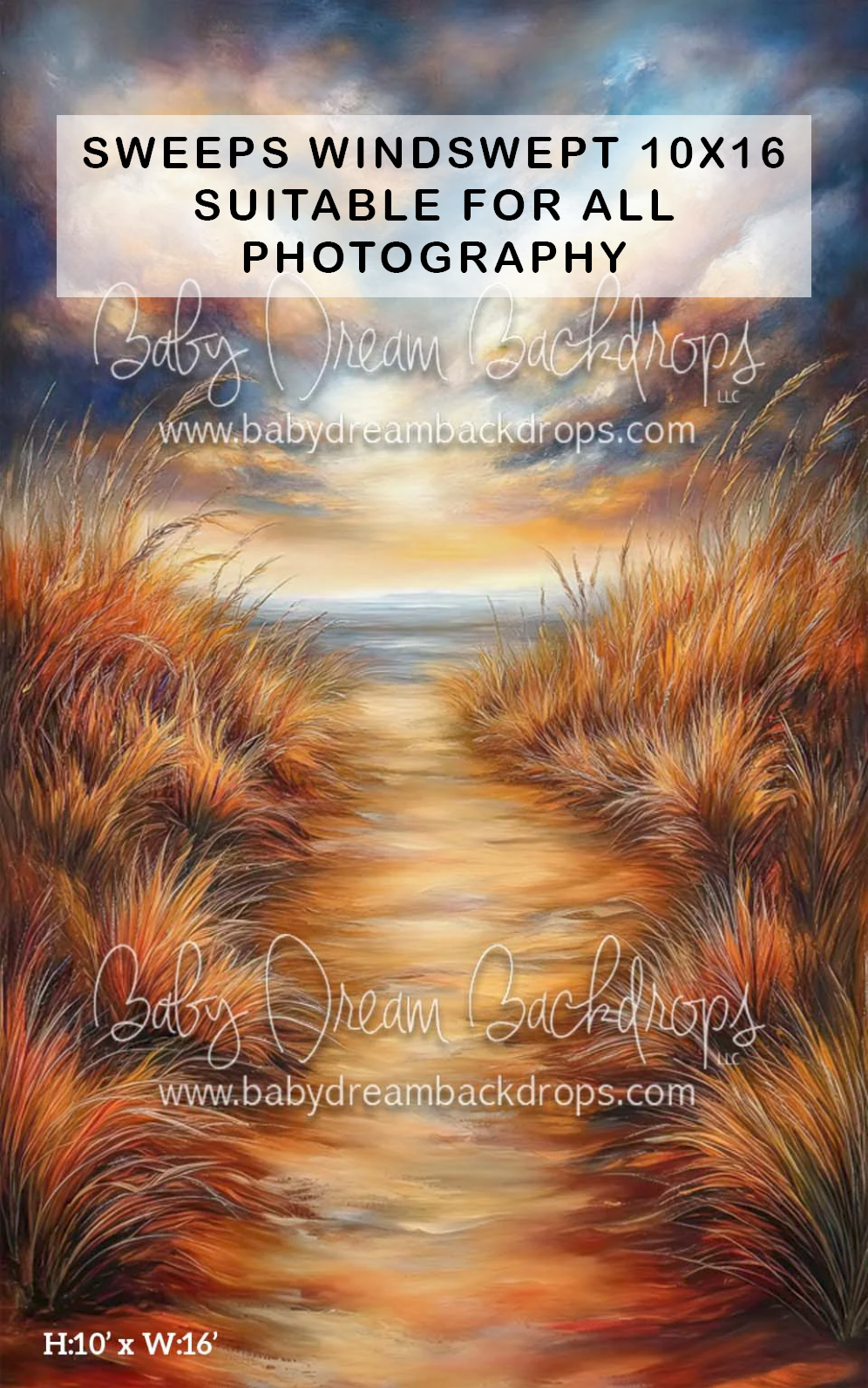 Windswept autumn path backdrop with golden grasses and dramatic sky, 10x16ft, suitable for all photography.