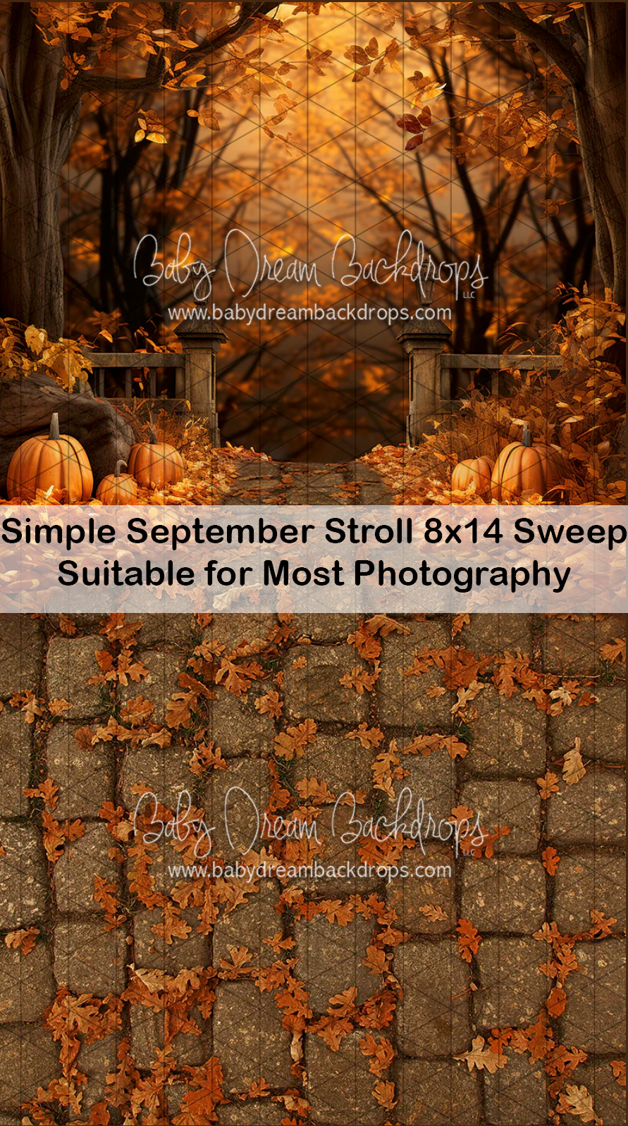 Autumn forest photography backdrop with pumpkins, fallen leaves, cobblestone path, and warm golden tones for fall portraits.