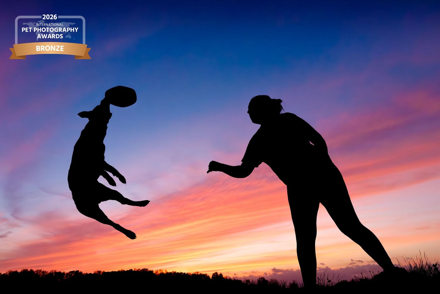 Silhouette of a person and leaping dog against a vibrant sunset sky, capturing a joyful moment of play.