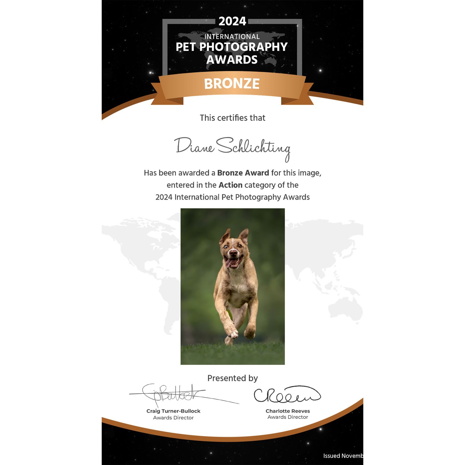 Bronze award certificate from 2024 International Pet Photography Awards for Diane Schlichting in the Action category.