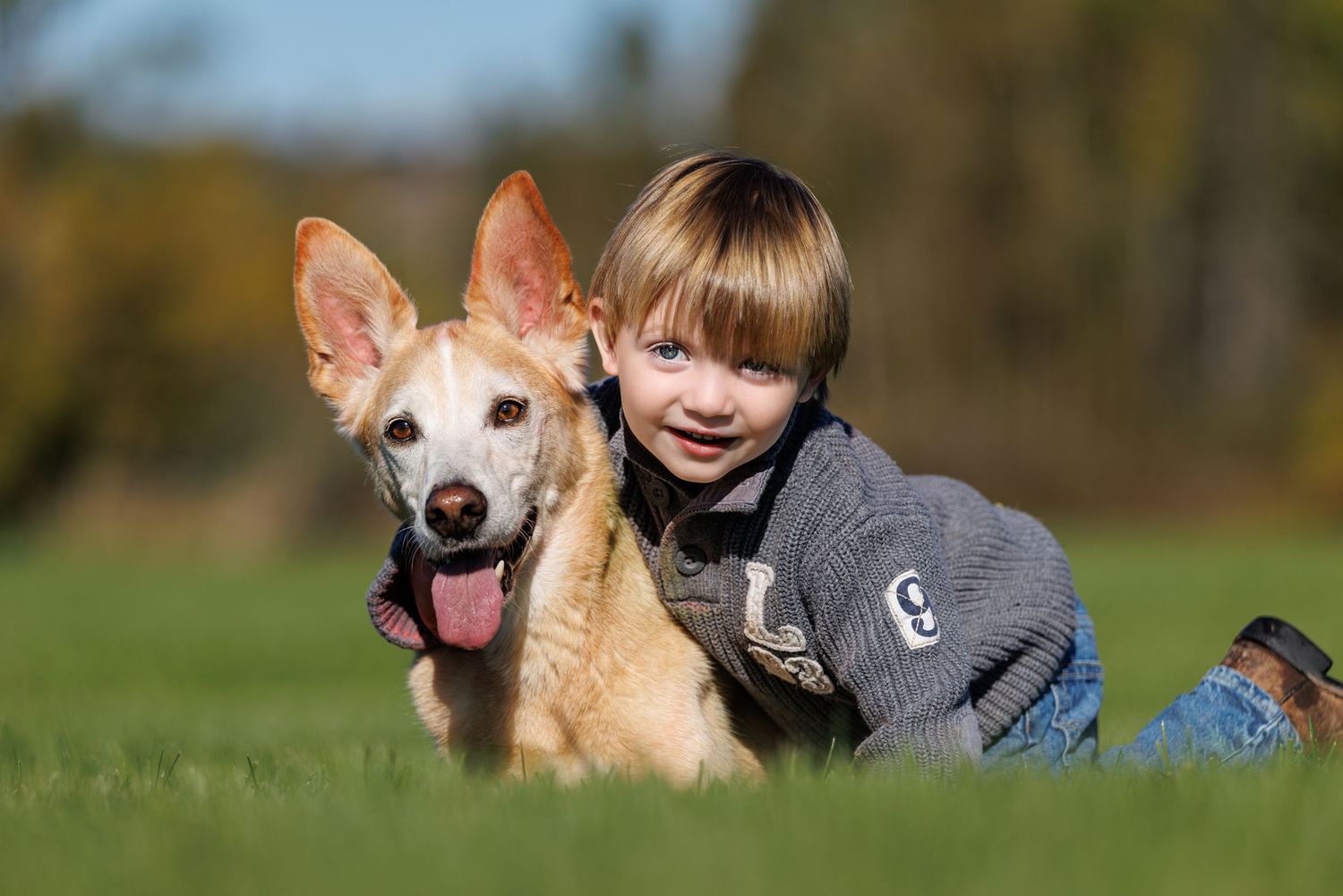 A young blond boy smiling while hugging a golden dog on green grass outdoors on a sunny day.