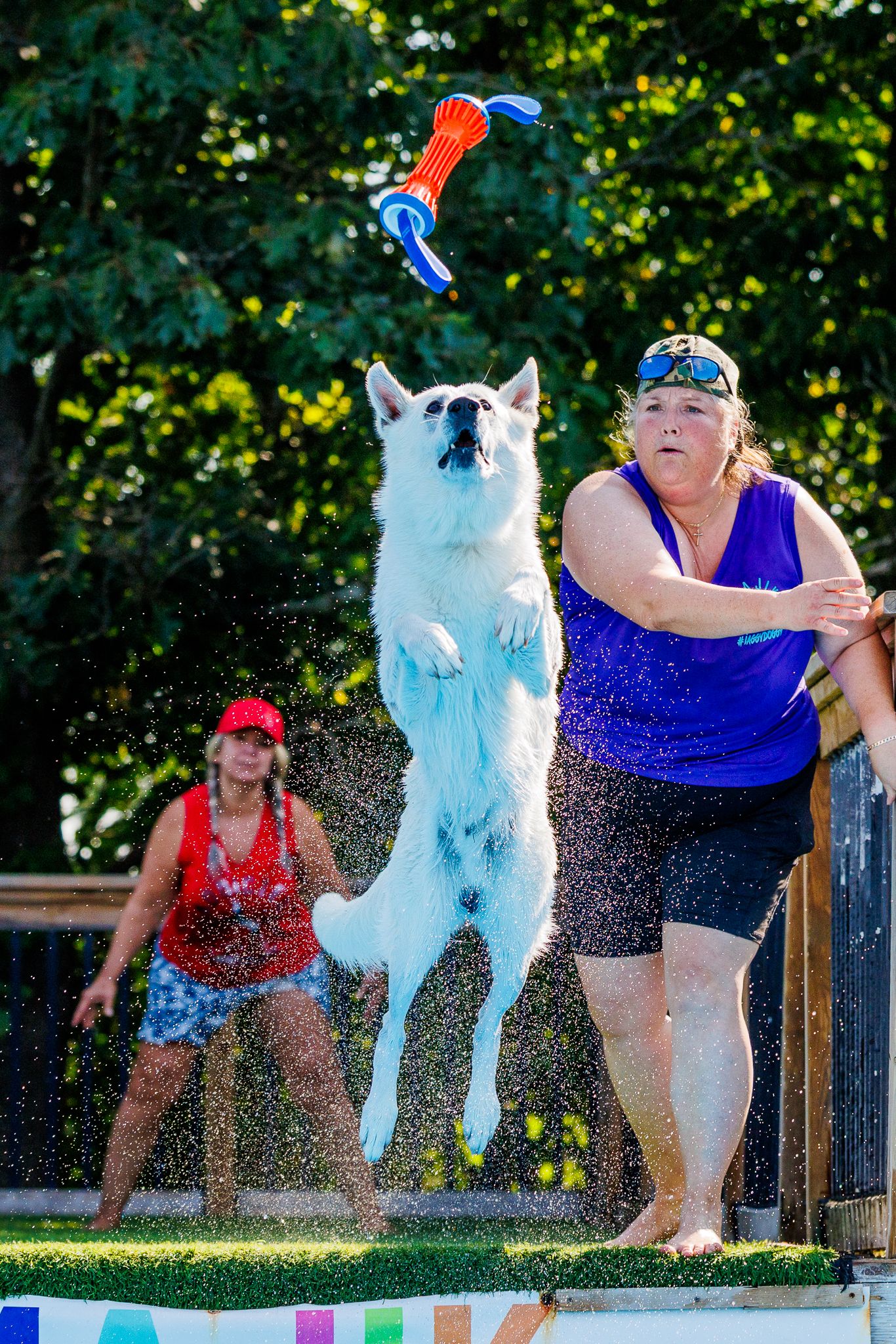 White dog leaping to catch a toy while a woman in blue watches at an outdoor dock diving competition.
