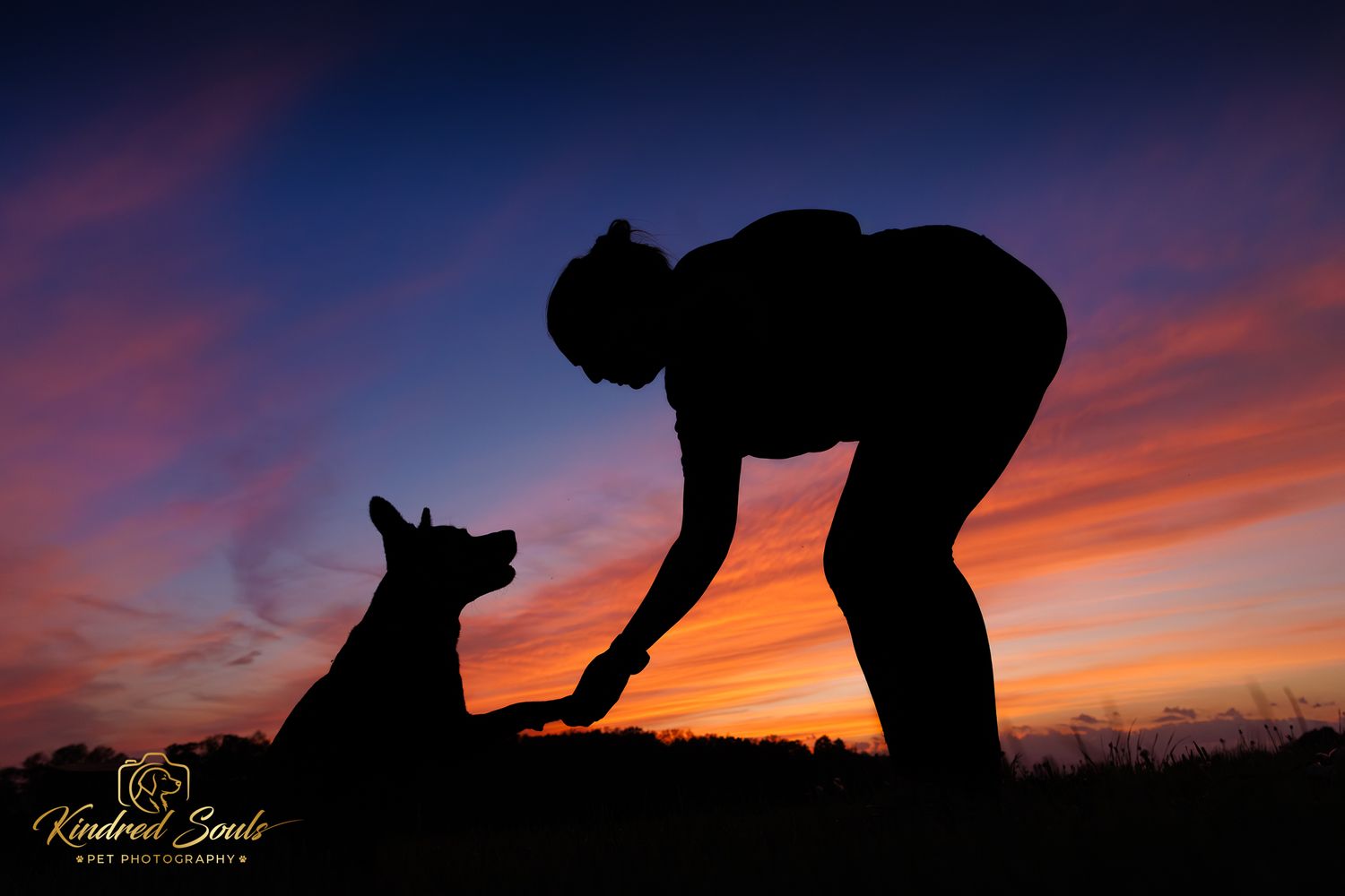 Silhouette of a person shaking hands with a dog against a vibrant sunset sky at dusk.